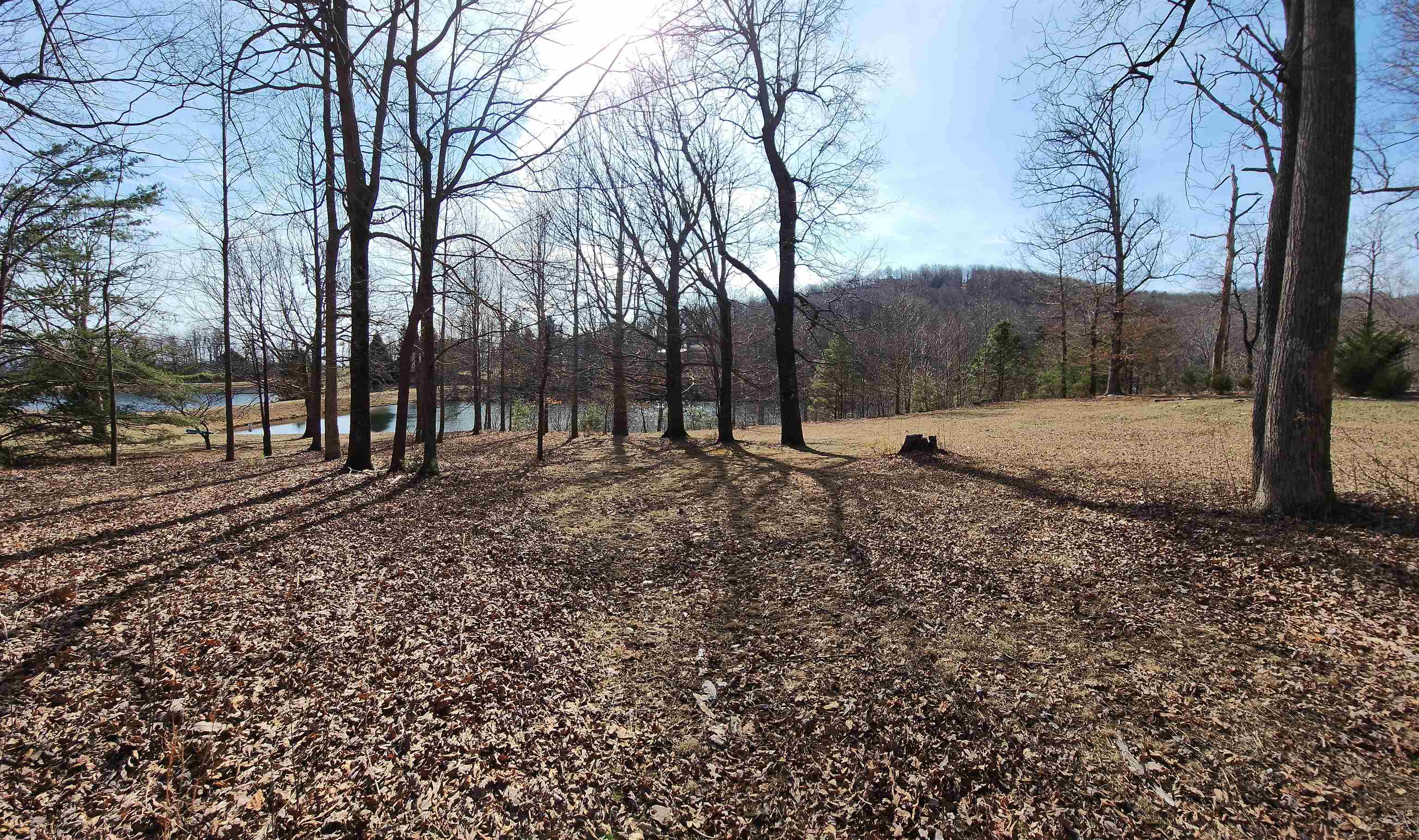 Lot 77 Serpentine Drive, Columbus, North Carolina image 3