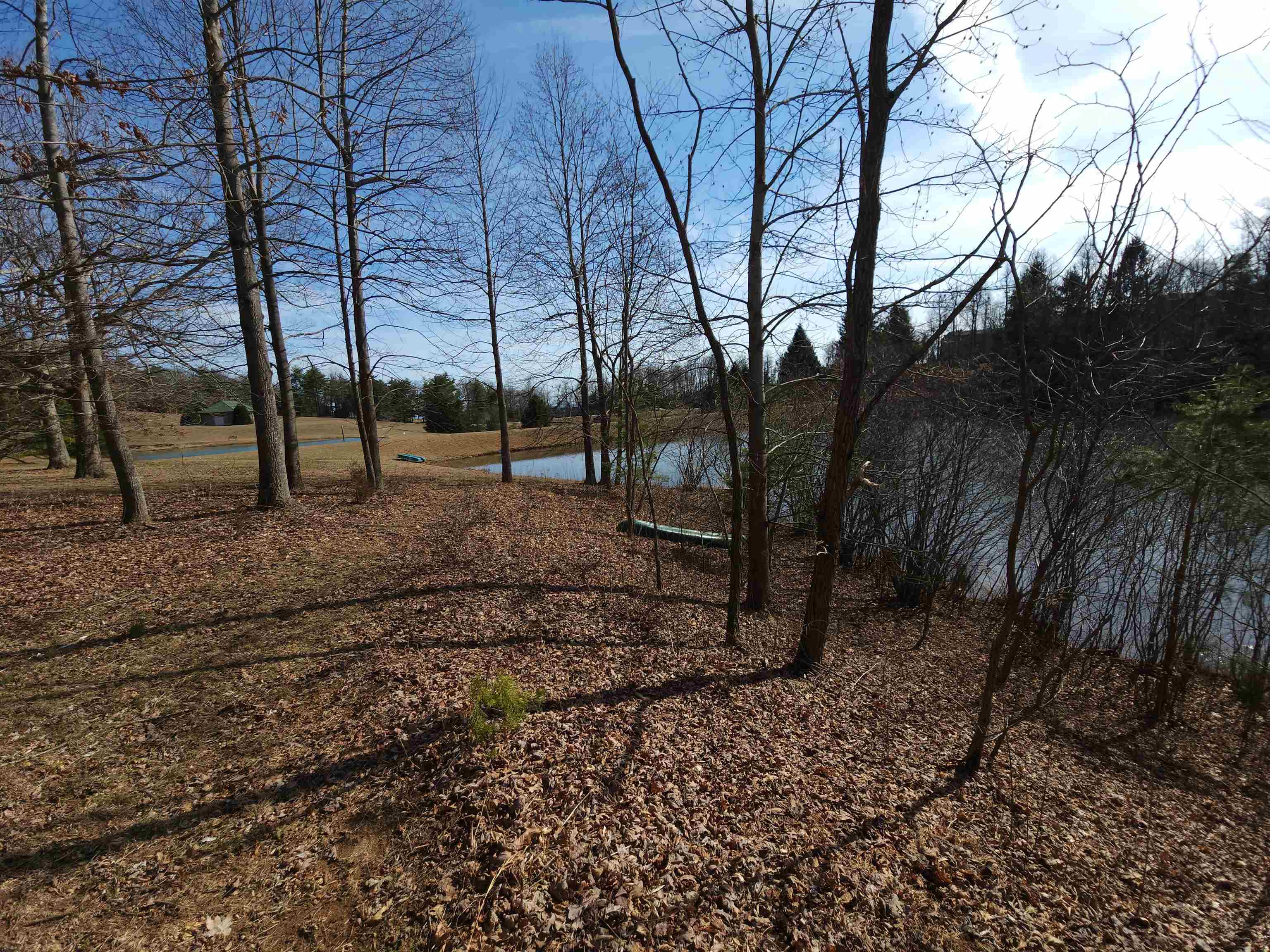 Lot 77 Serpentine Drive, Columbus, North Carolina image 10