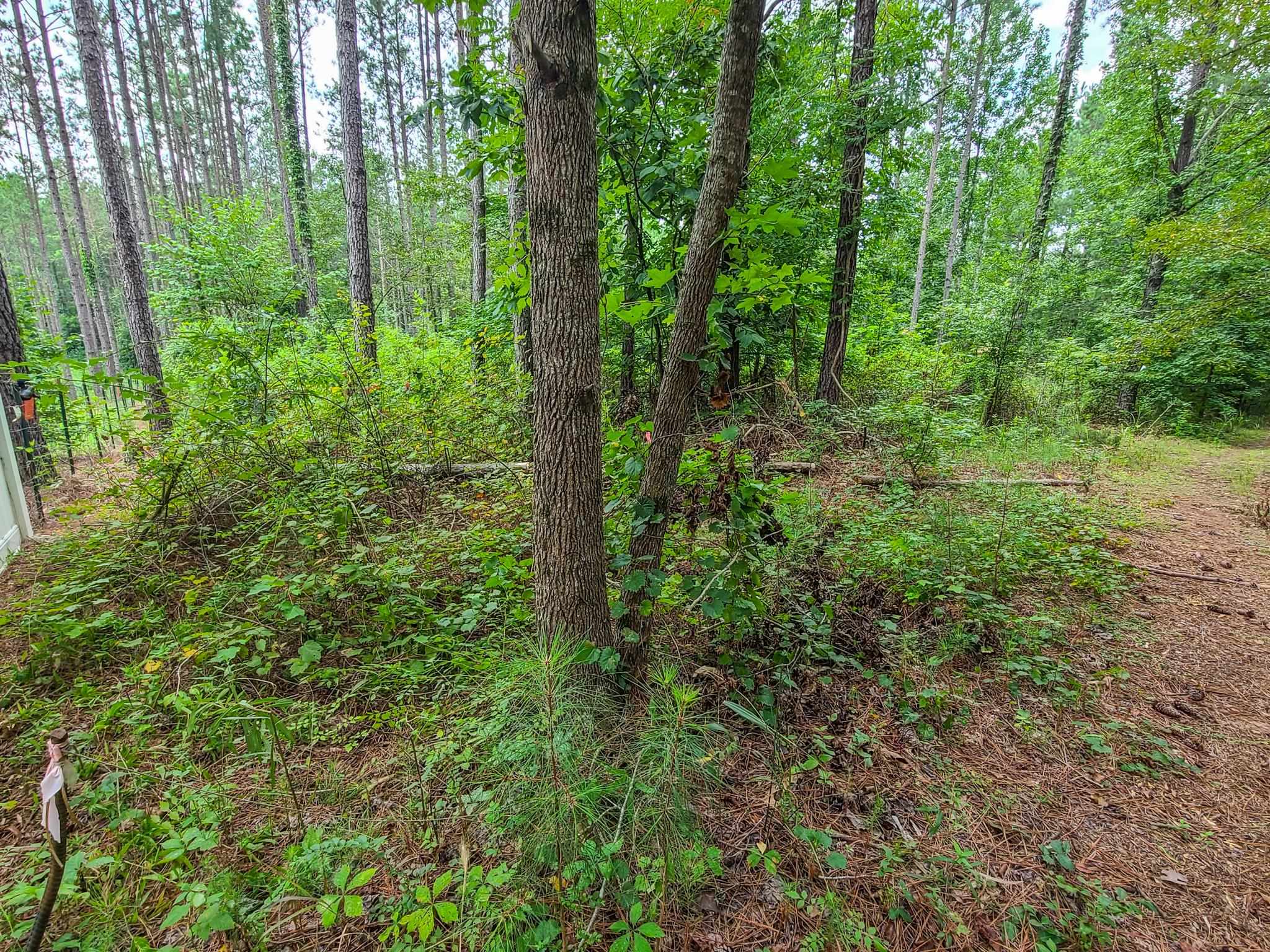 Dunklin Bridge Lot 15 Road, Fountain Inn, South Carolina image 8