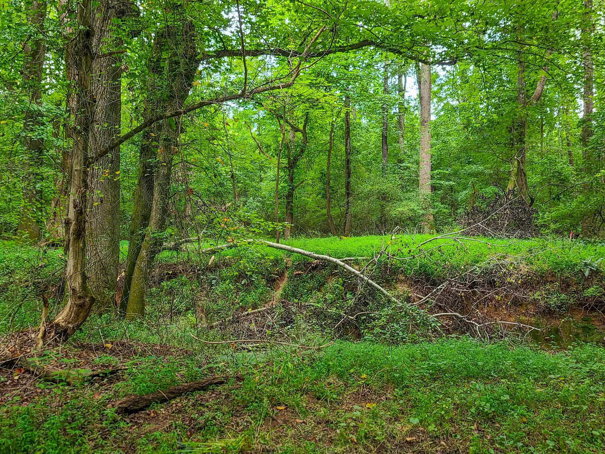 Dunklin Bridge Lot 15 Road, Fountain Inn, South Carolina image 18
