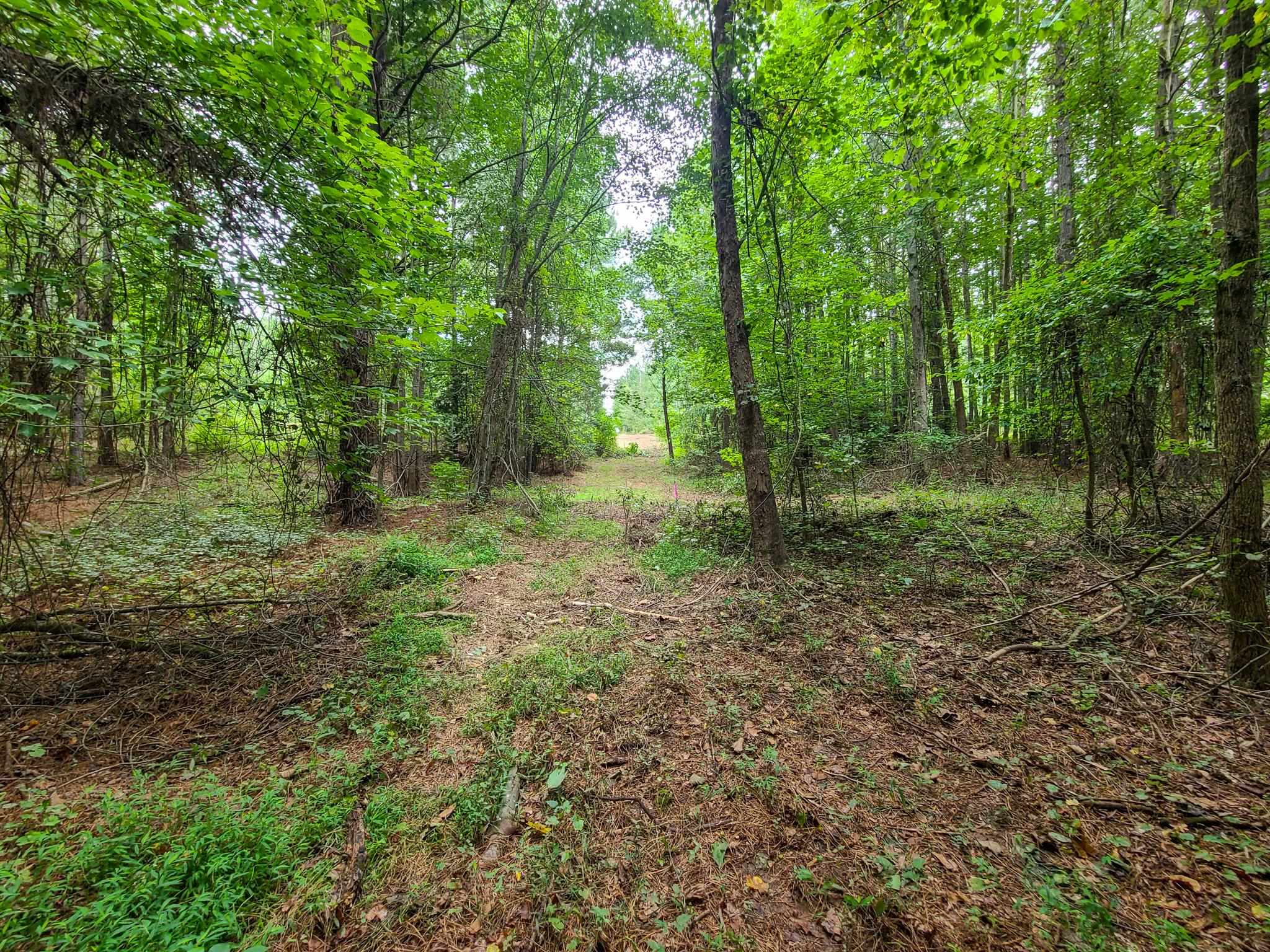 Dunklin Bridge Lot 15 Road, Fountain Inn, South Carolina image 37