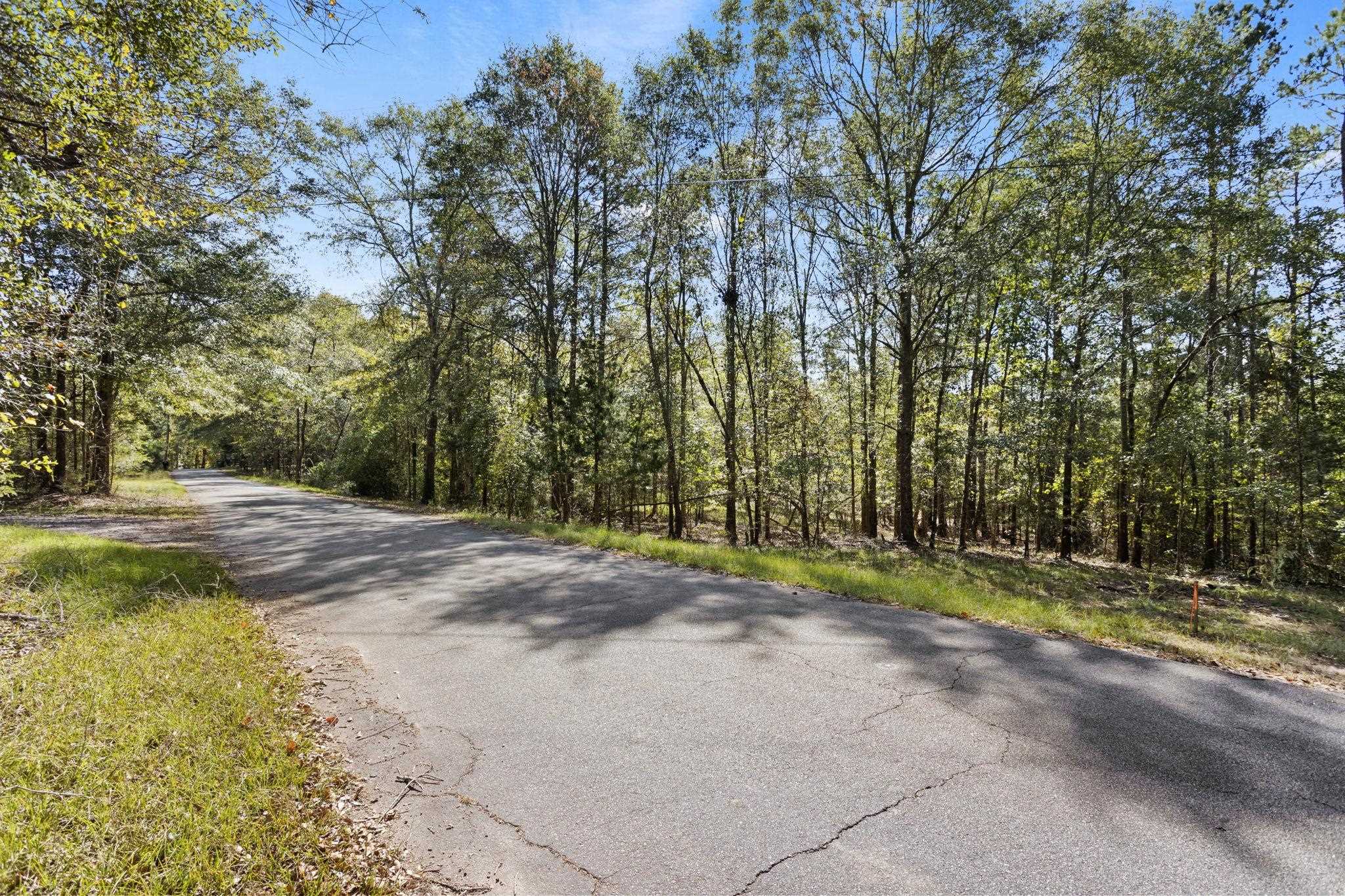 04 Camp Creek Road, Townville, South Carolina image 1