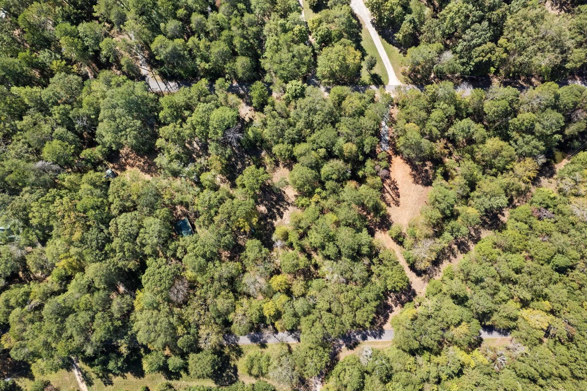 04 Camp Creek Road, Townville, South Carolina image 16
