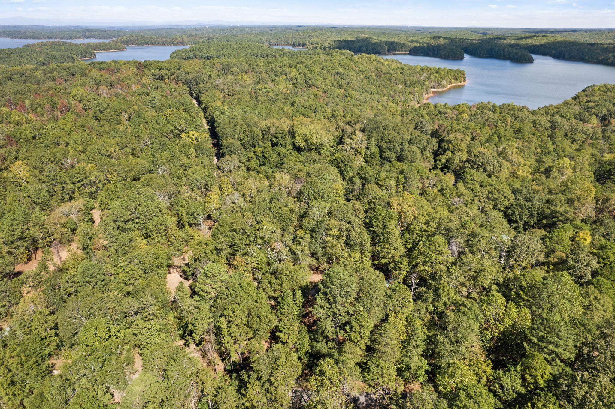 04 Camp Creek Road, Townville, South Carolina image 8