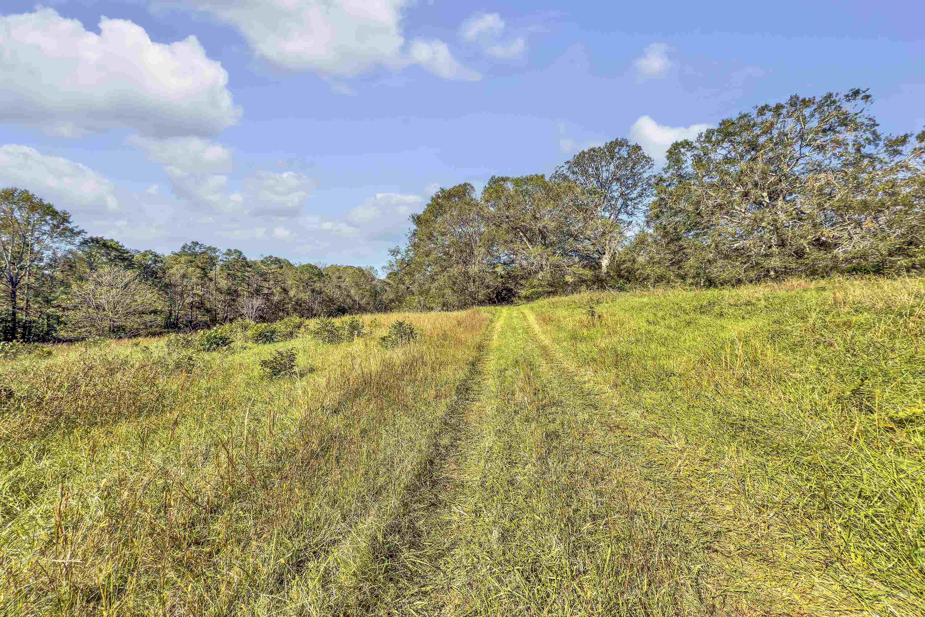 Old Converse Road, Spartanburg, South Carolina image 19