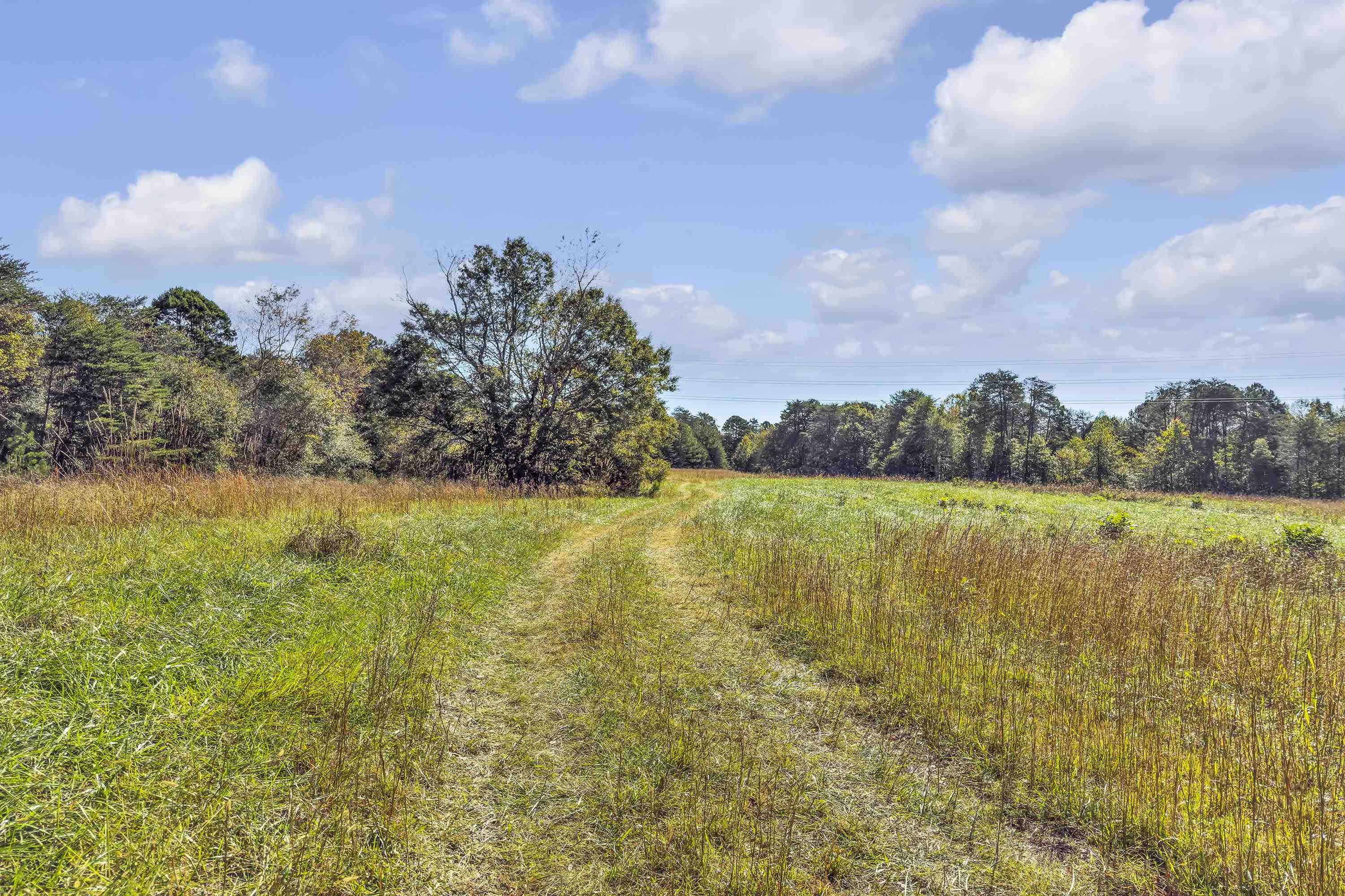 Old Converse Road, Spartanburg, South Carolina image 20