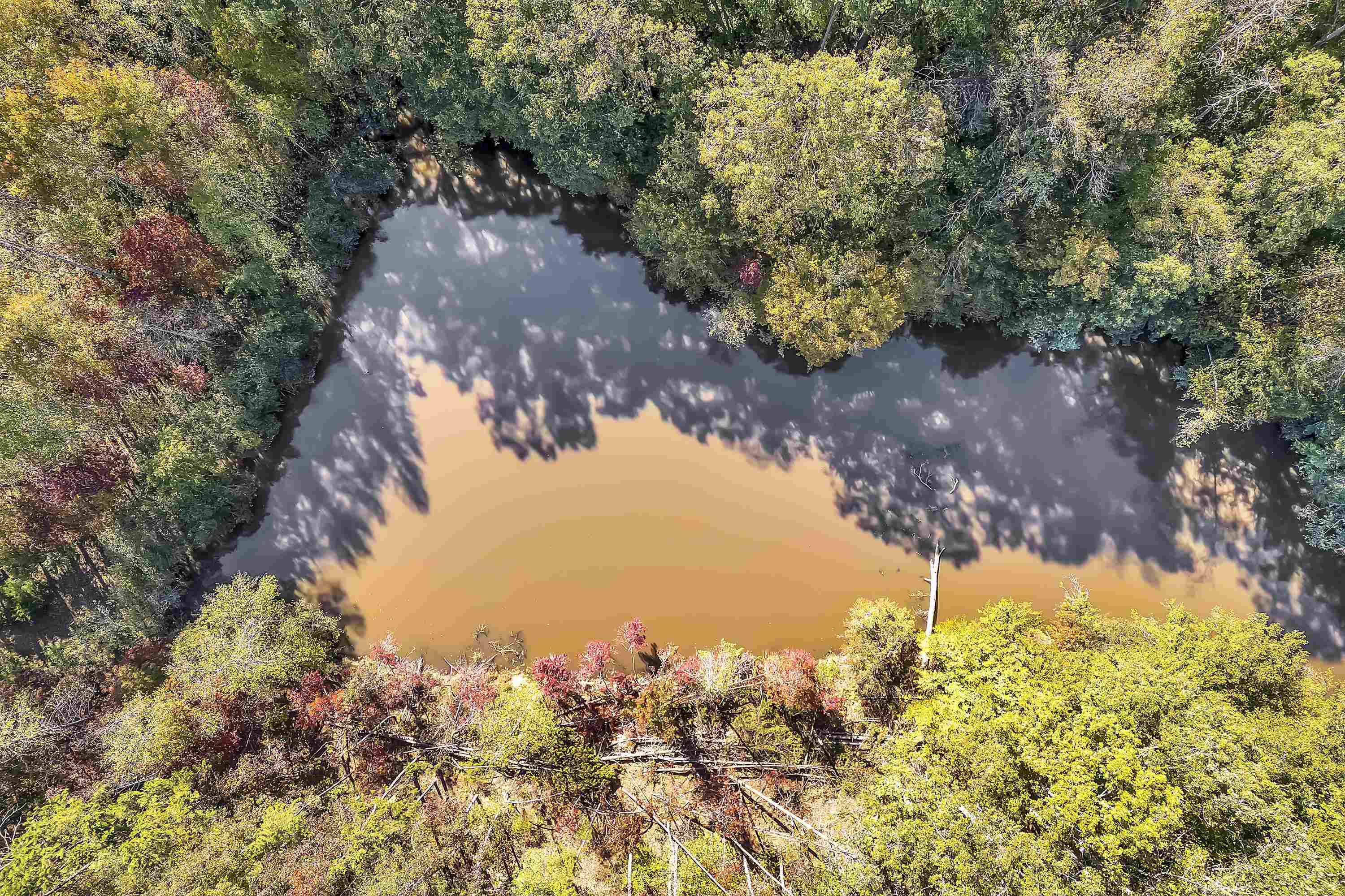 Old Converse Road, Spartanburg, South Carolina image 17