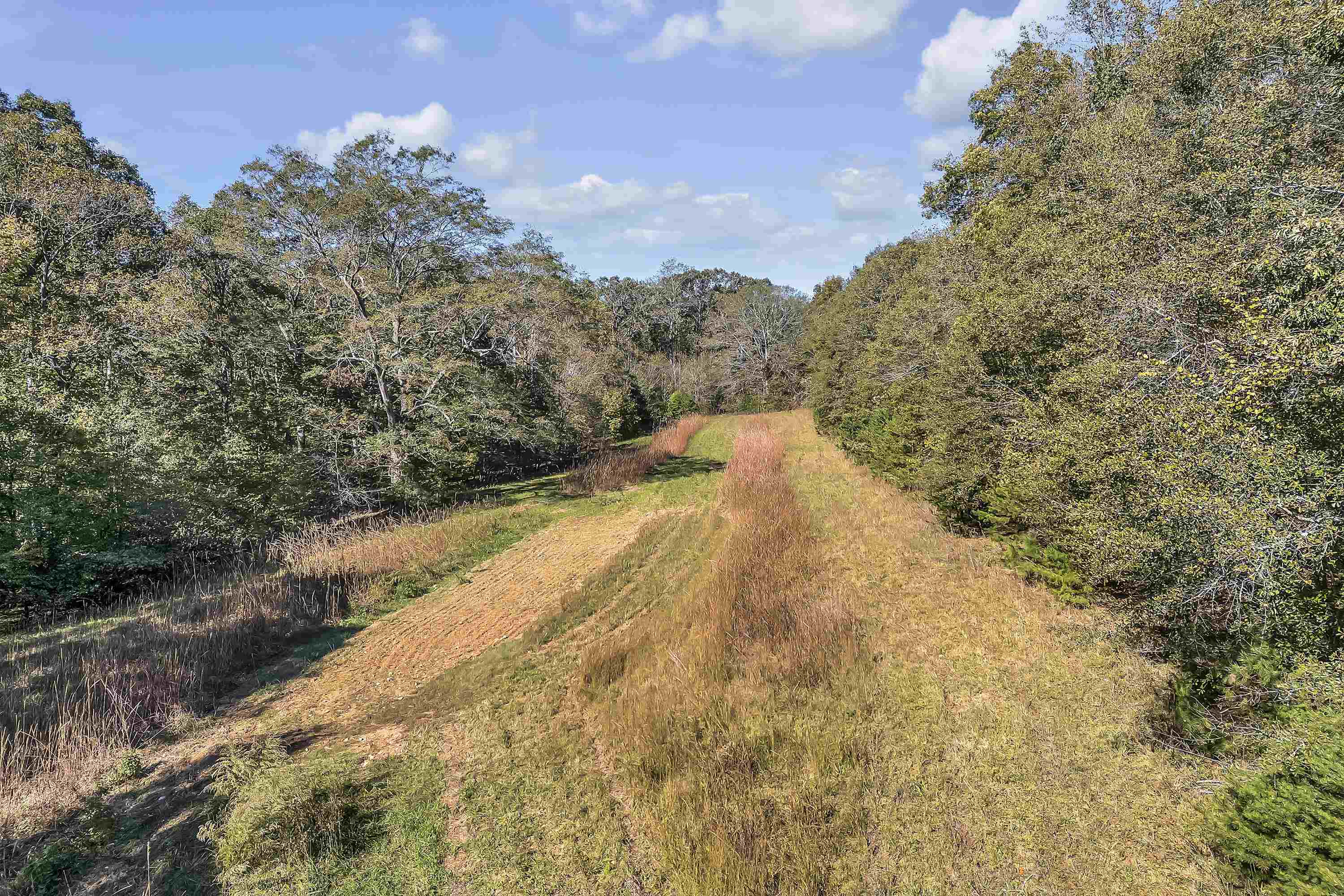 Old Converse Road, Spartanburg, South Carolina image 7
