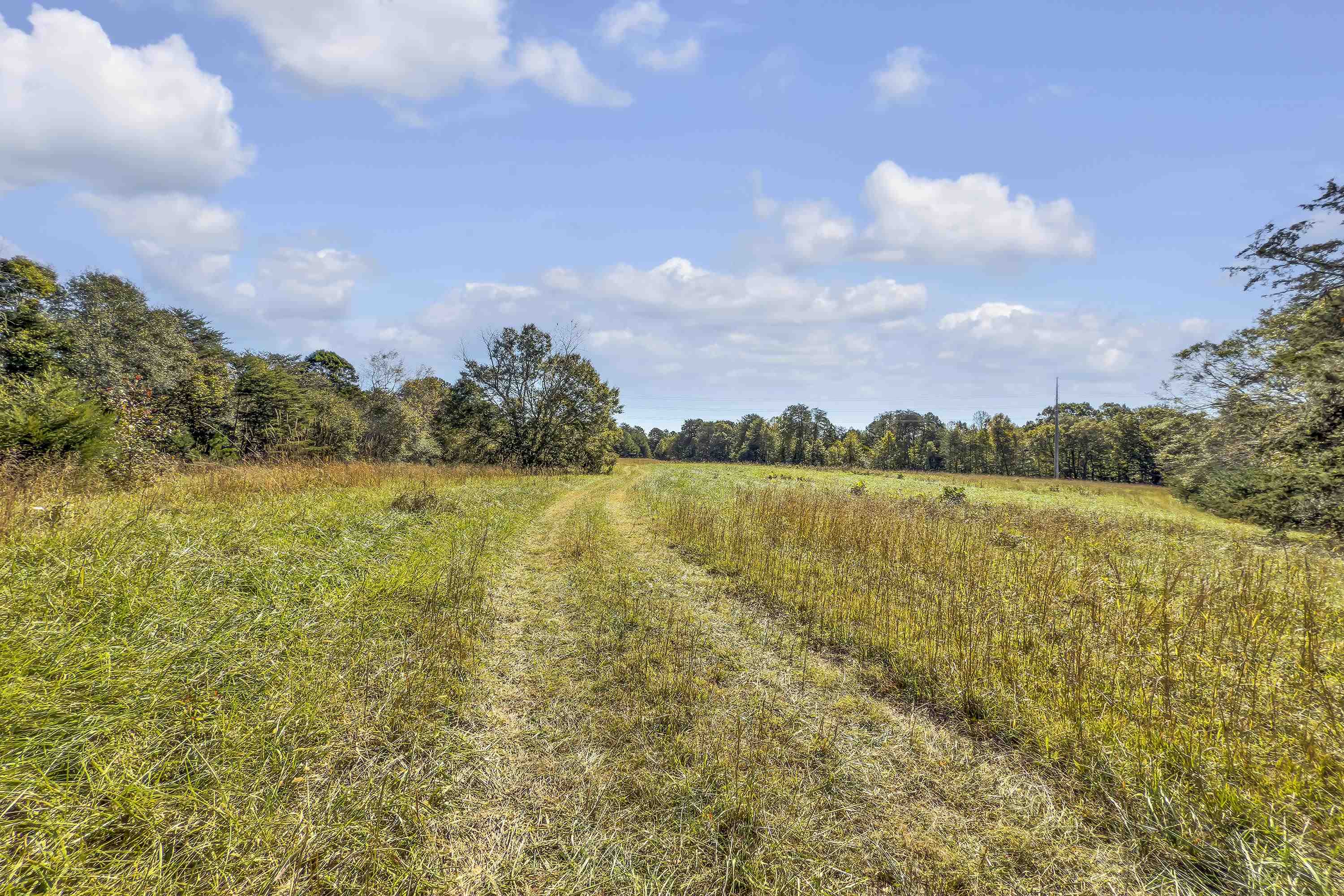 Old Converse Road, Spartanburg, South Carolina image 18