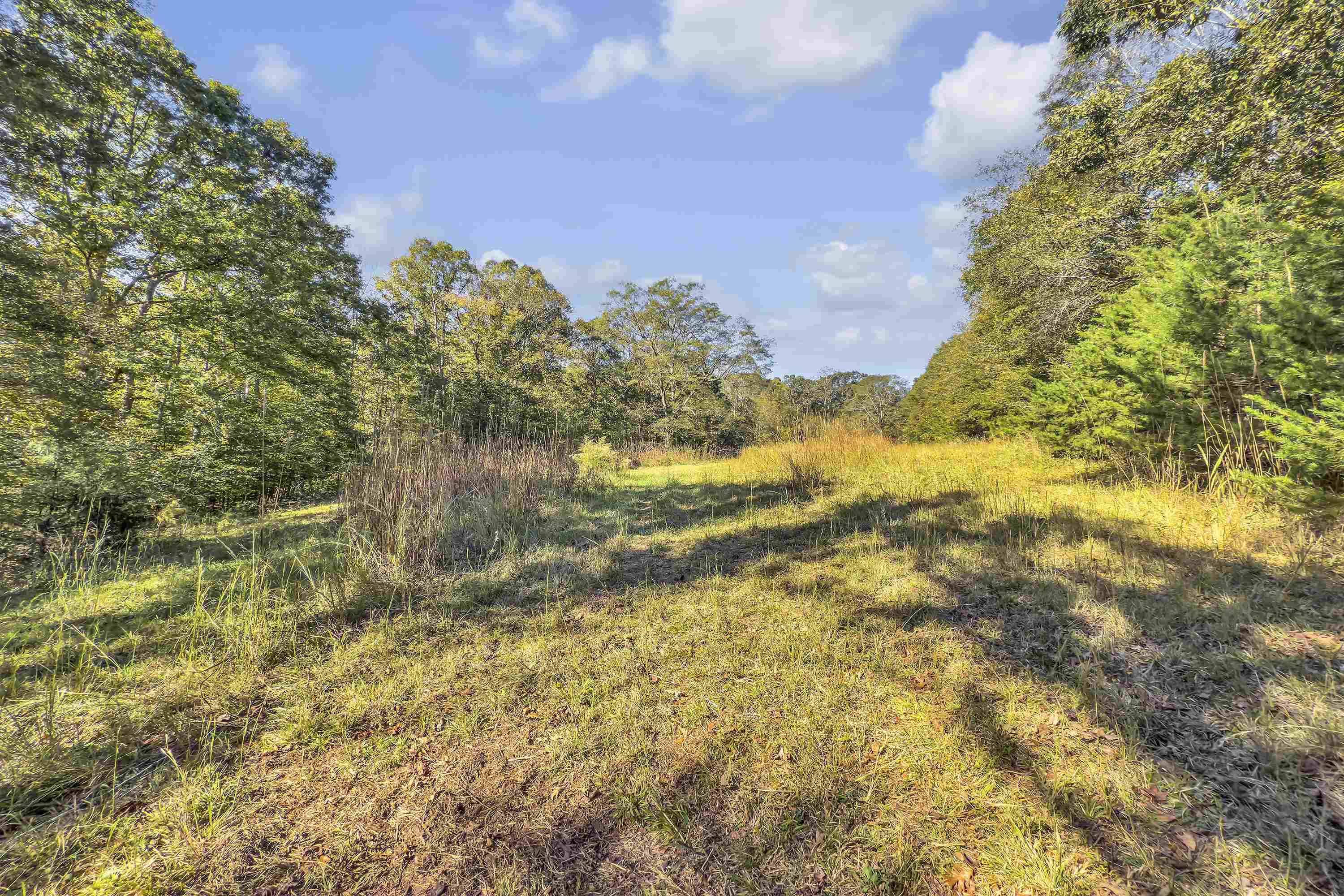 Old Converse Road, Spartanburg, South Carolina image 13