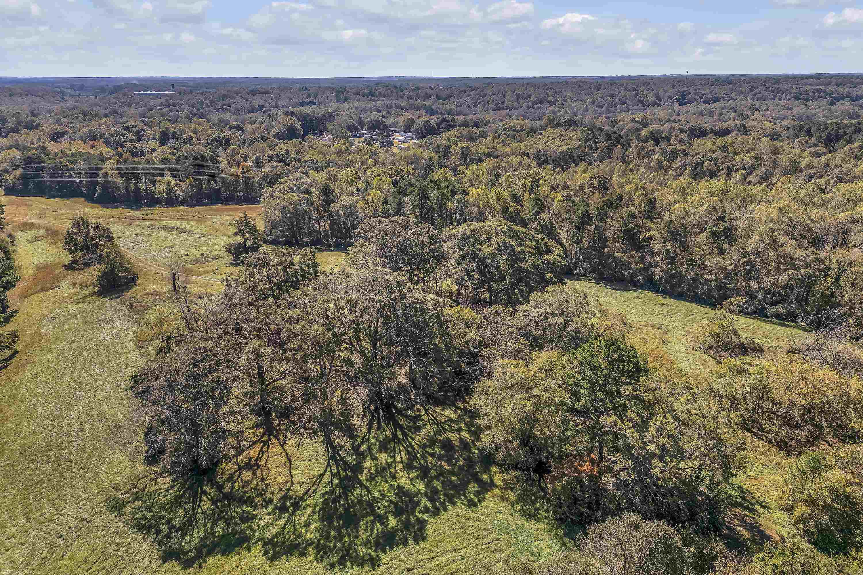 Old Converse Road, Spartanburg, South Carolina image 9