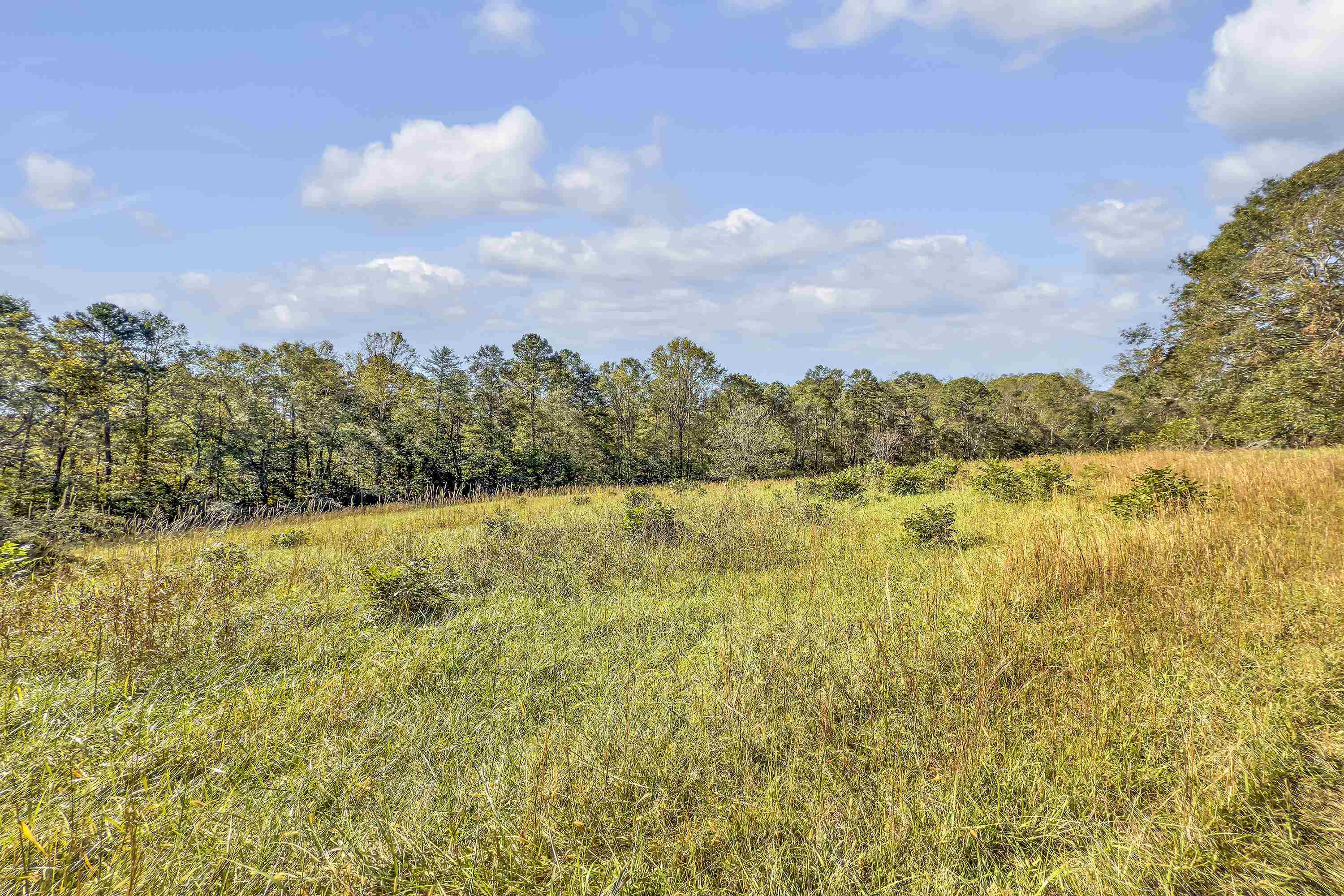 Old Converse Road, Spartanburg, South Carolina image 21
