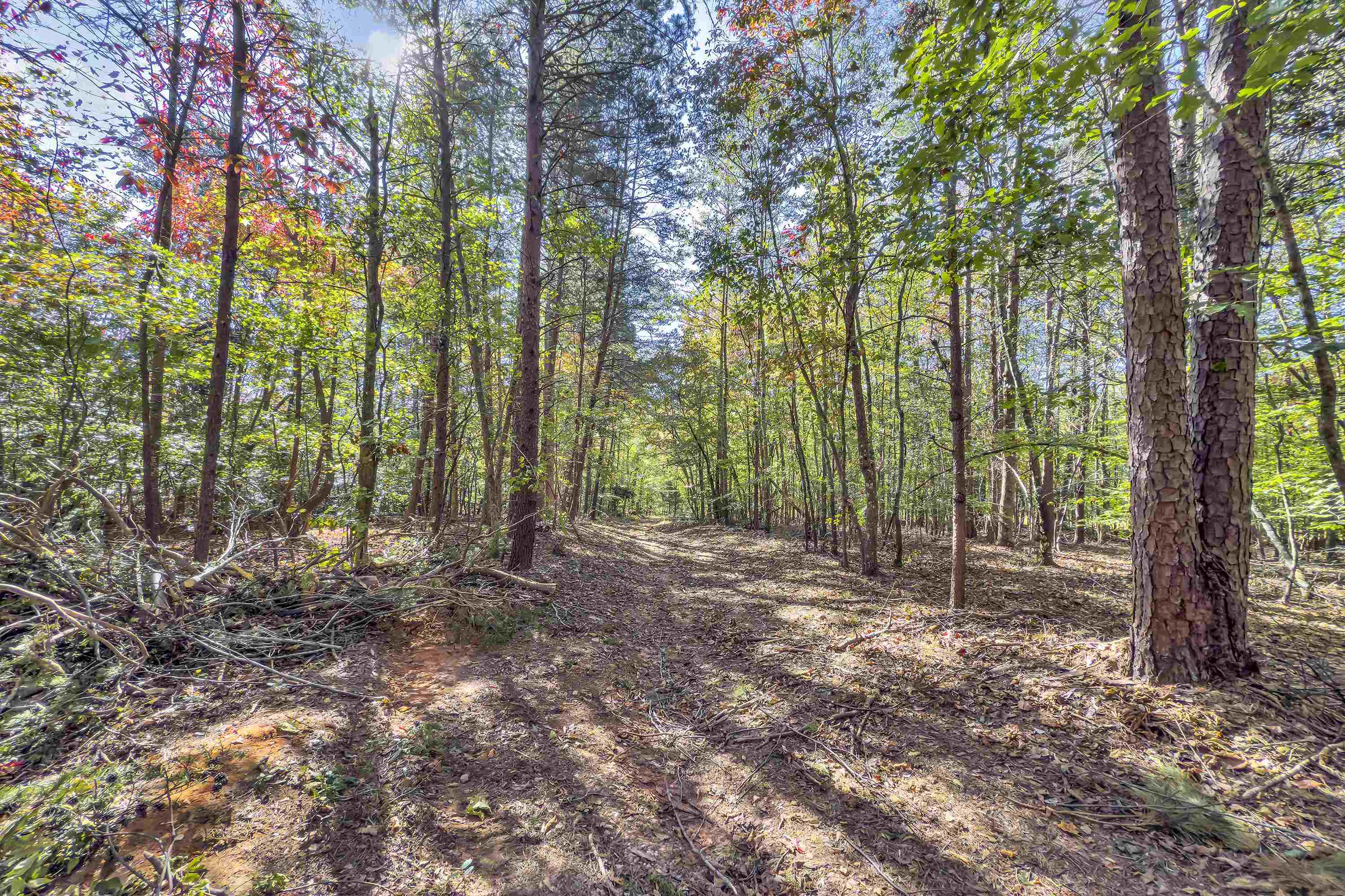 Old Converse Road, Spartanburg, South Carolina image 14