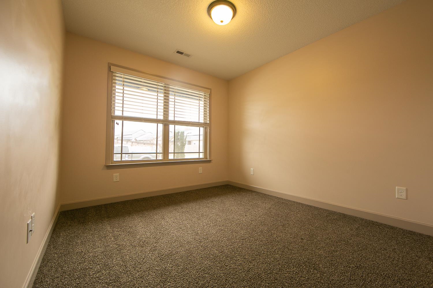 356 Evenfall Drive, Boiling Springs, South Carolina image 19