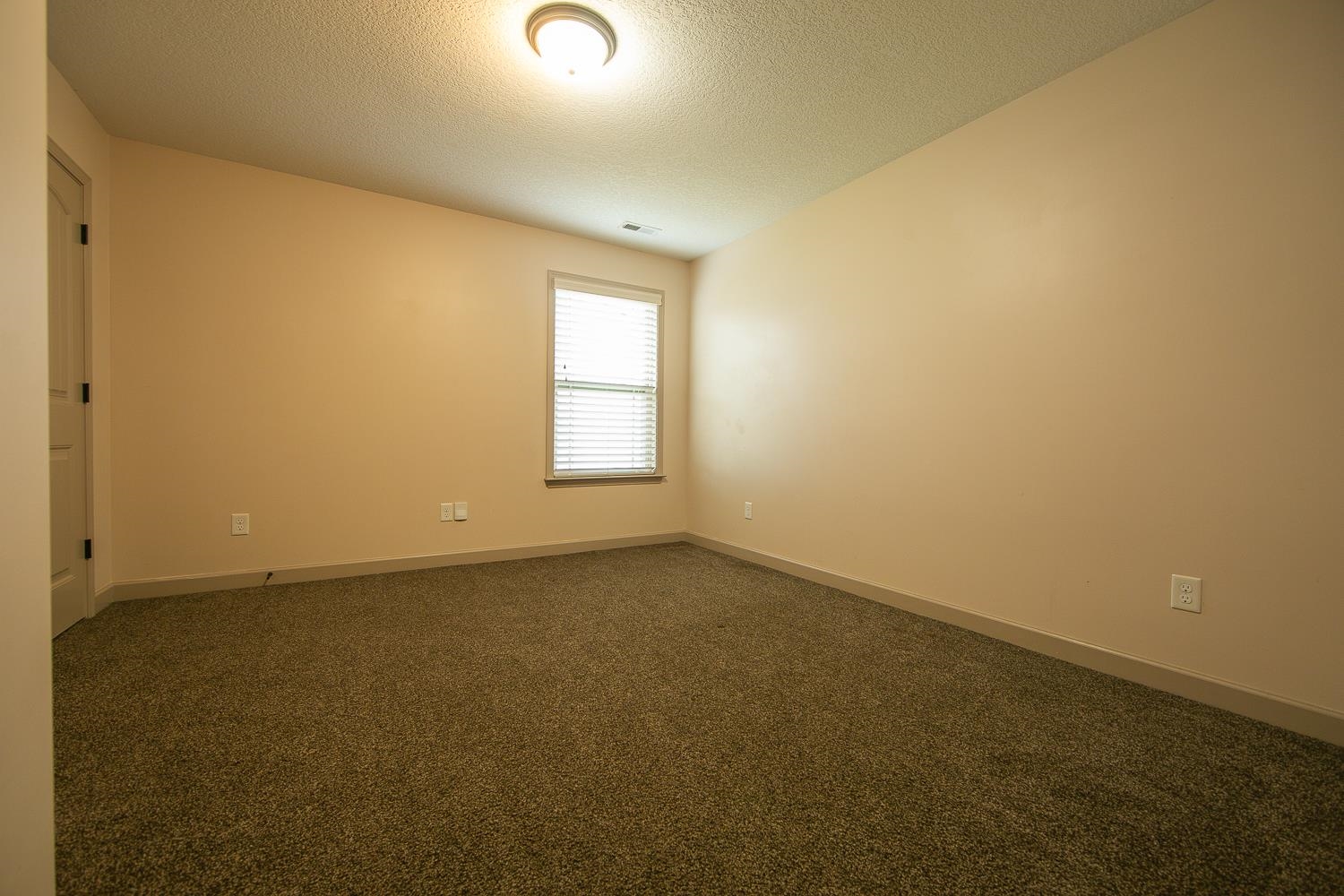 356 Evenfall Drive, Boiling Springs, South Carolina image 21