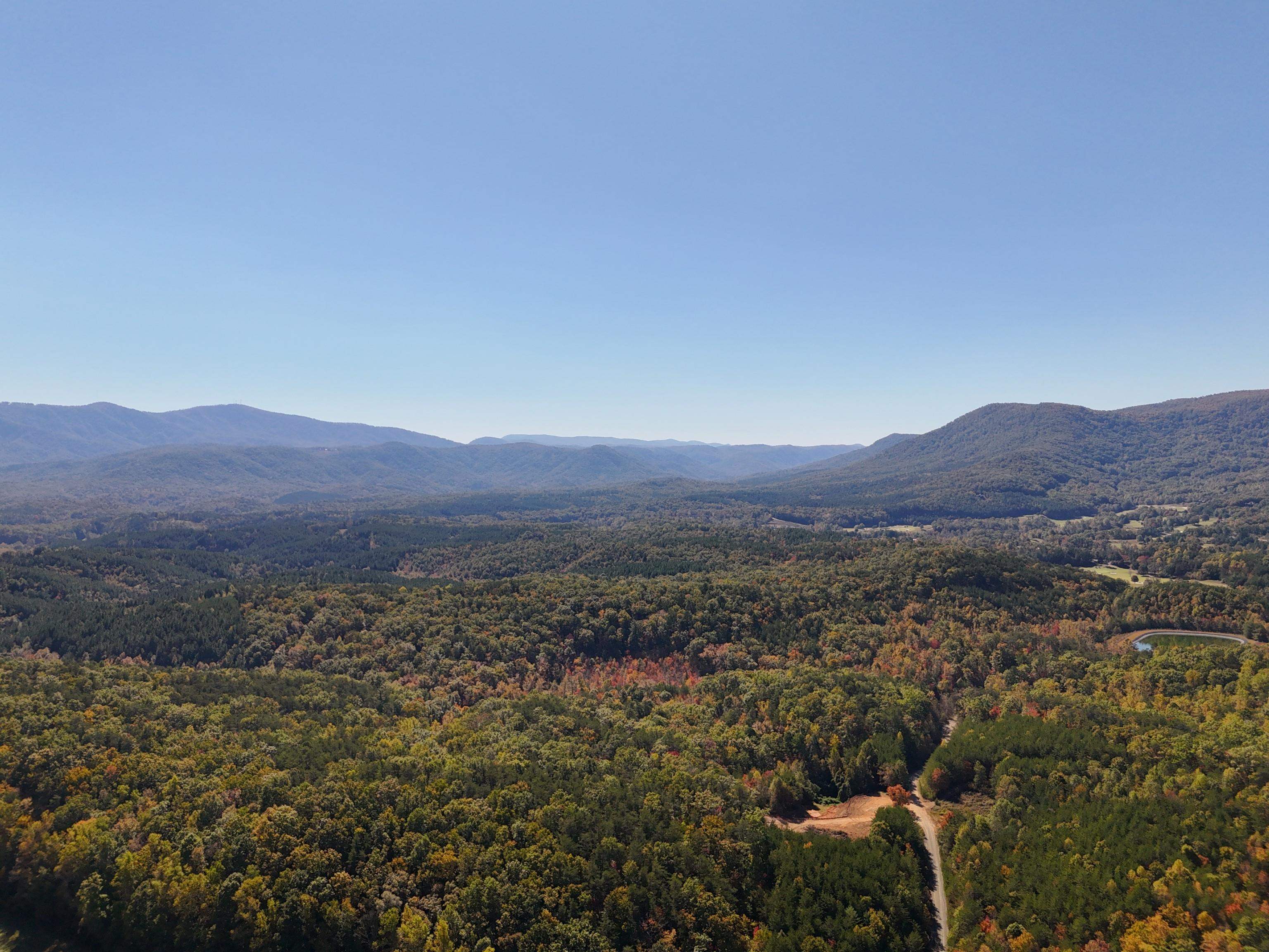 46.6 Acres Regan Jackson Road, Mill Spring, North Carolina image 21