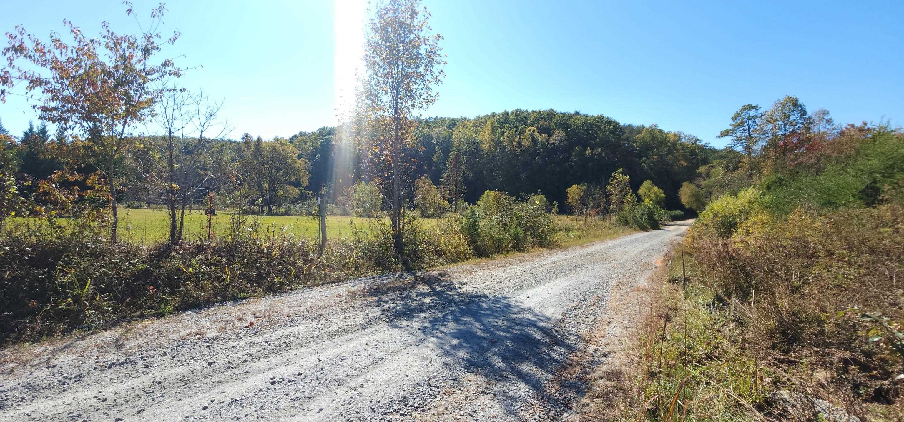 46.6 Acres Regan Jackson Road, Mill Spring, North Carolina image 13