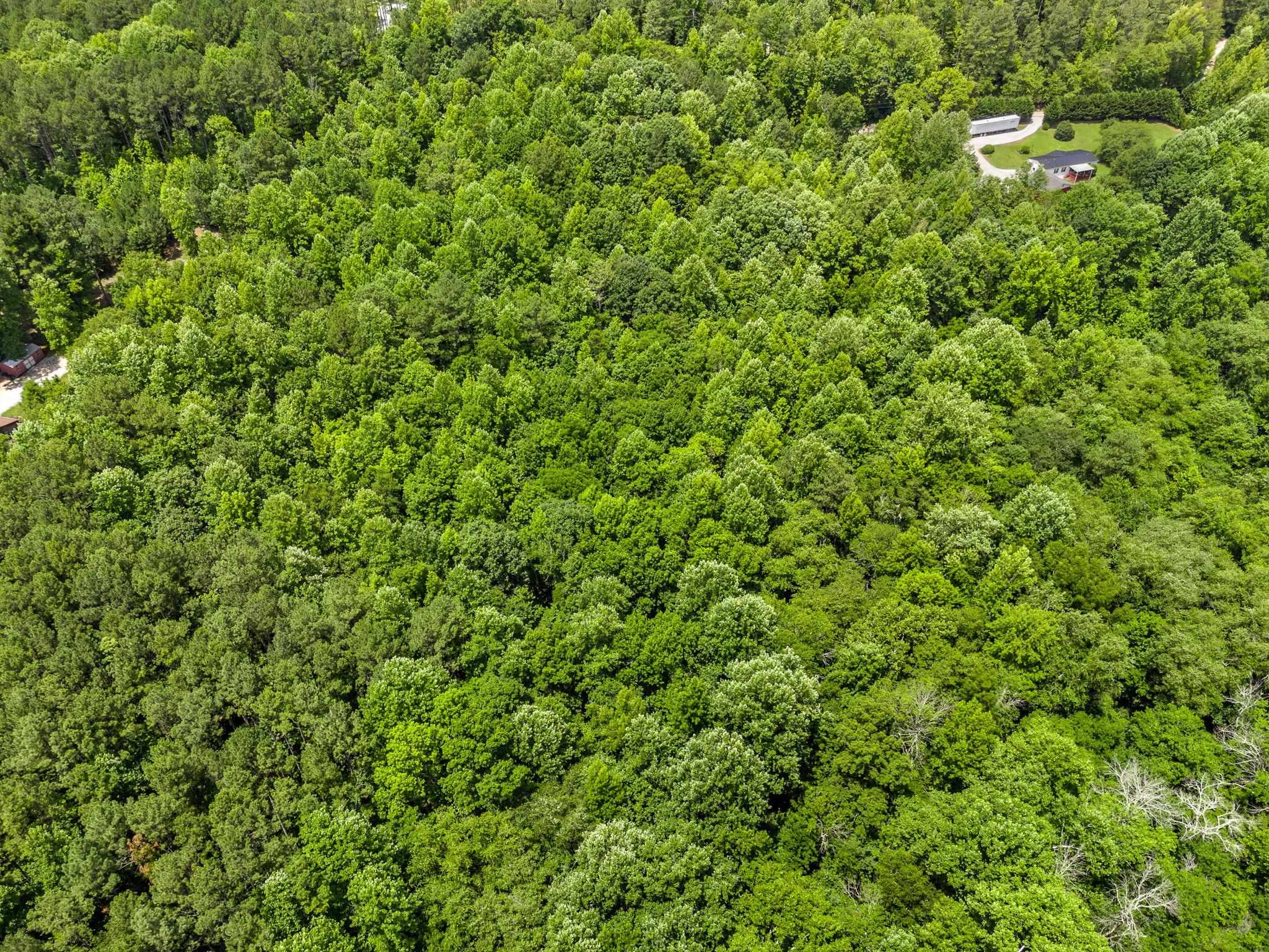 Bowater Pass, Fountain Inn, South Carolina image 16