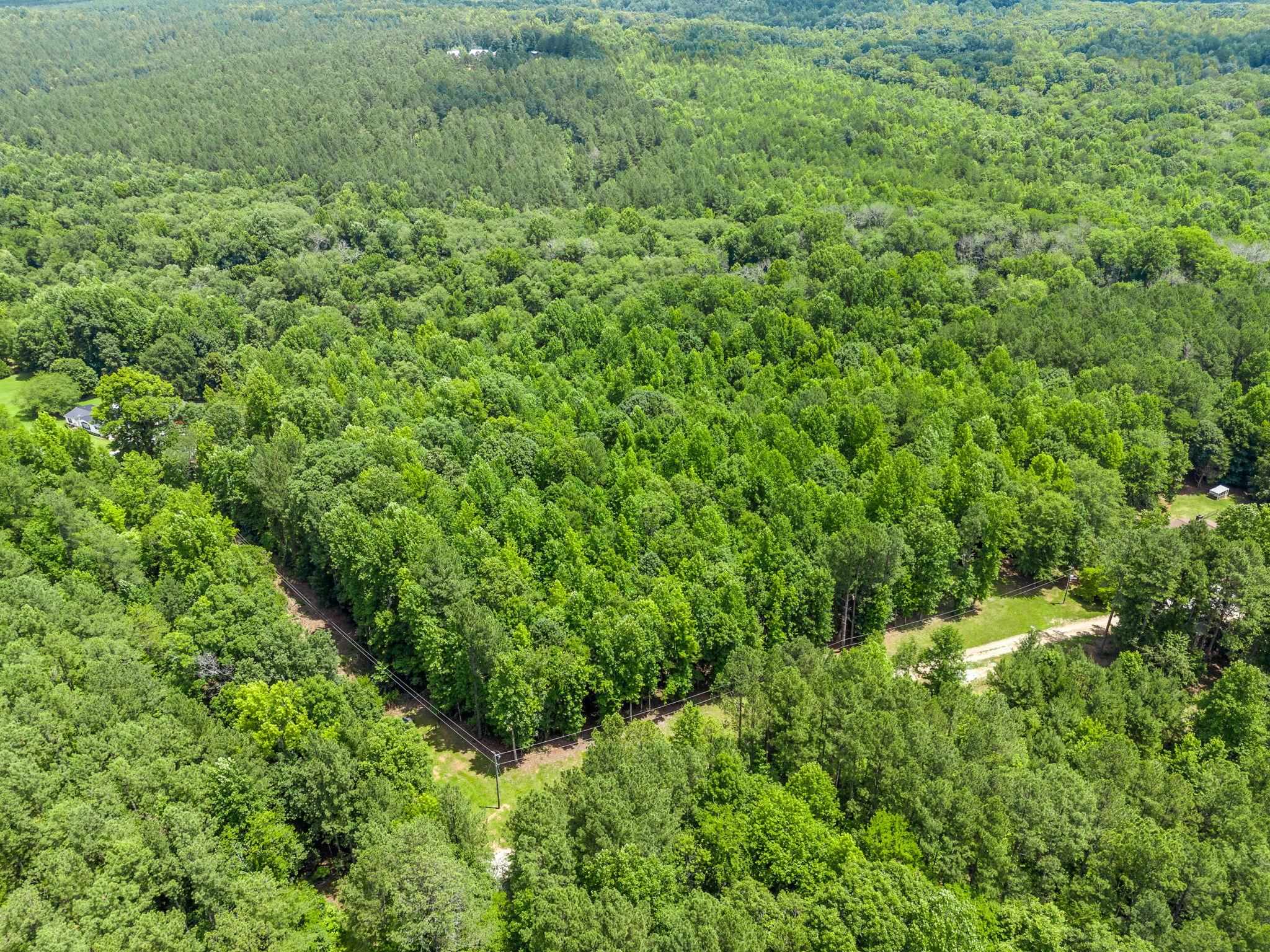 Bowater Pass, Fountain Inn, South Carolina image 12