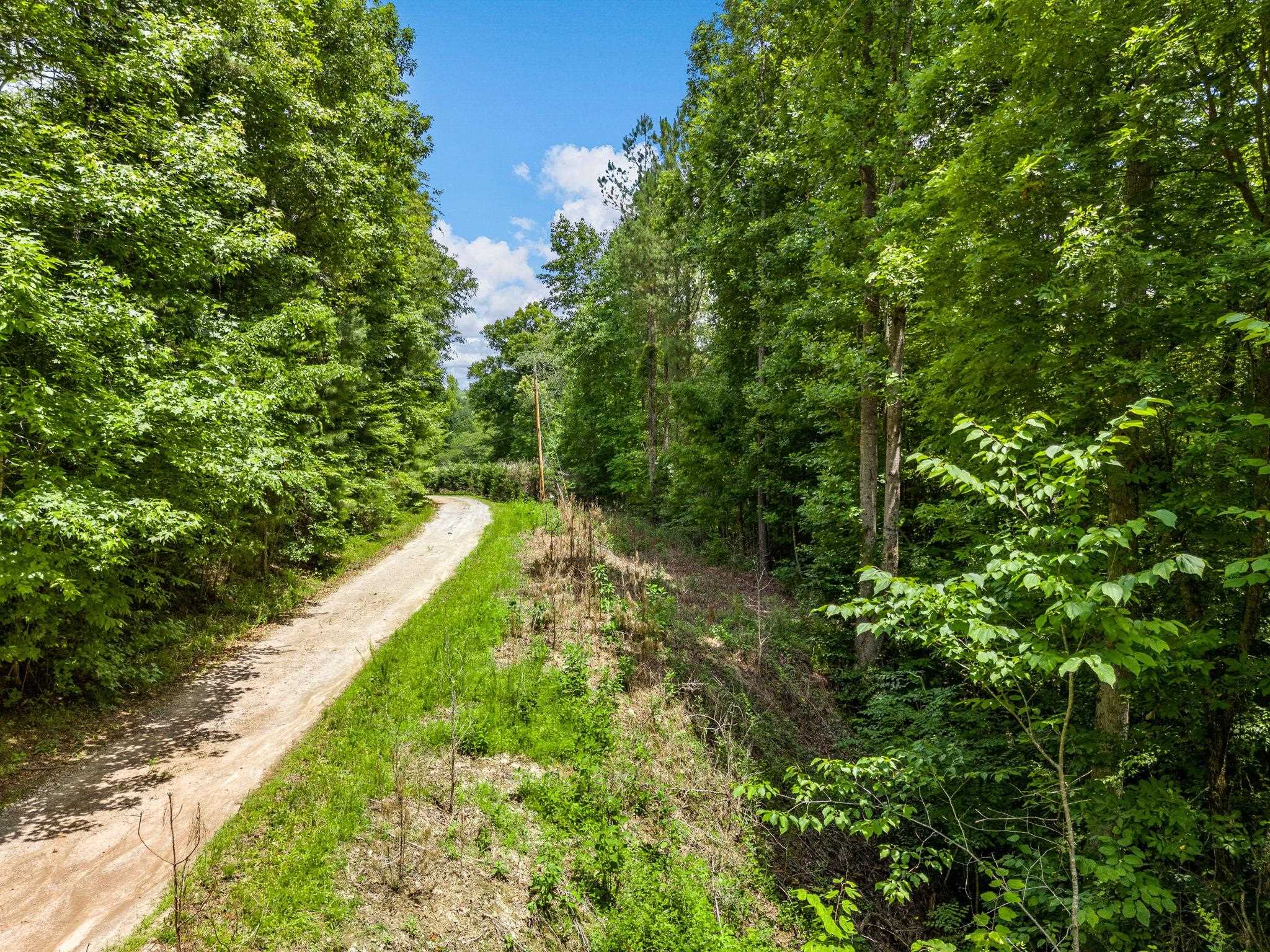 Bowater Pass, Fountain Inn, South Carolina image 6