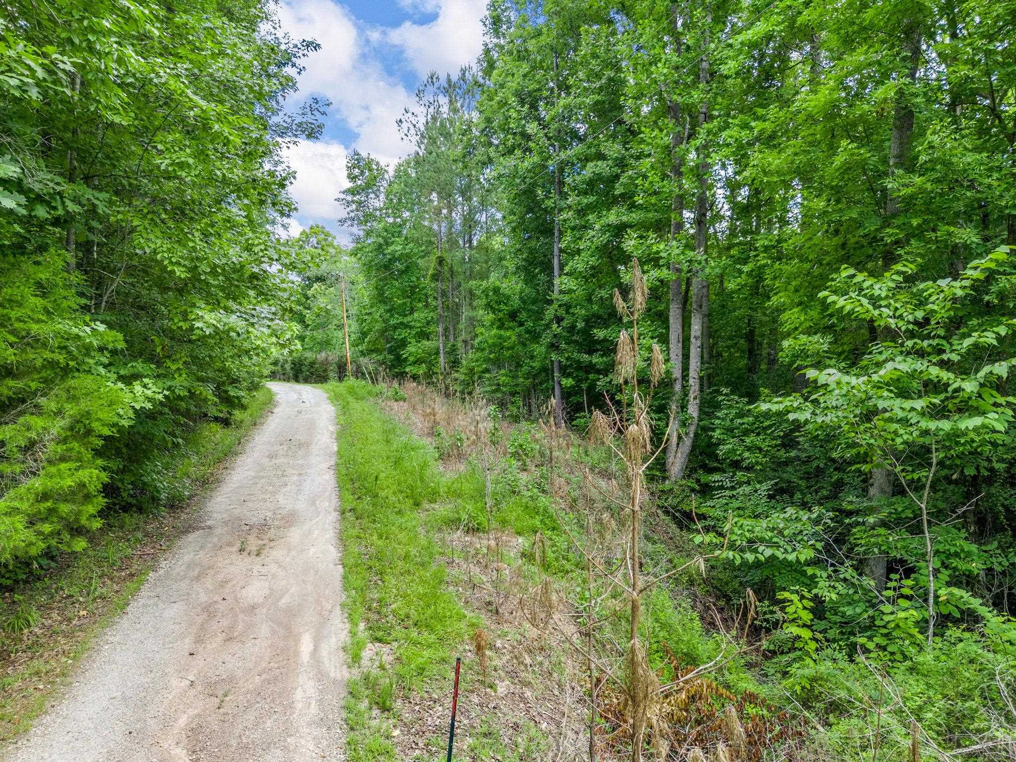 Bowater Pass, Fountain Inn, South Carolina image 5