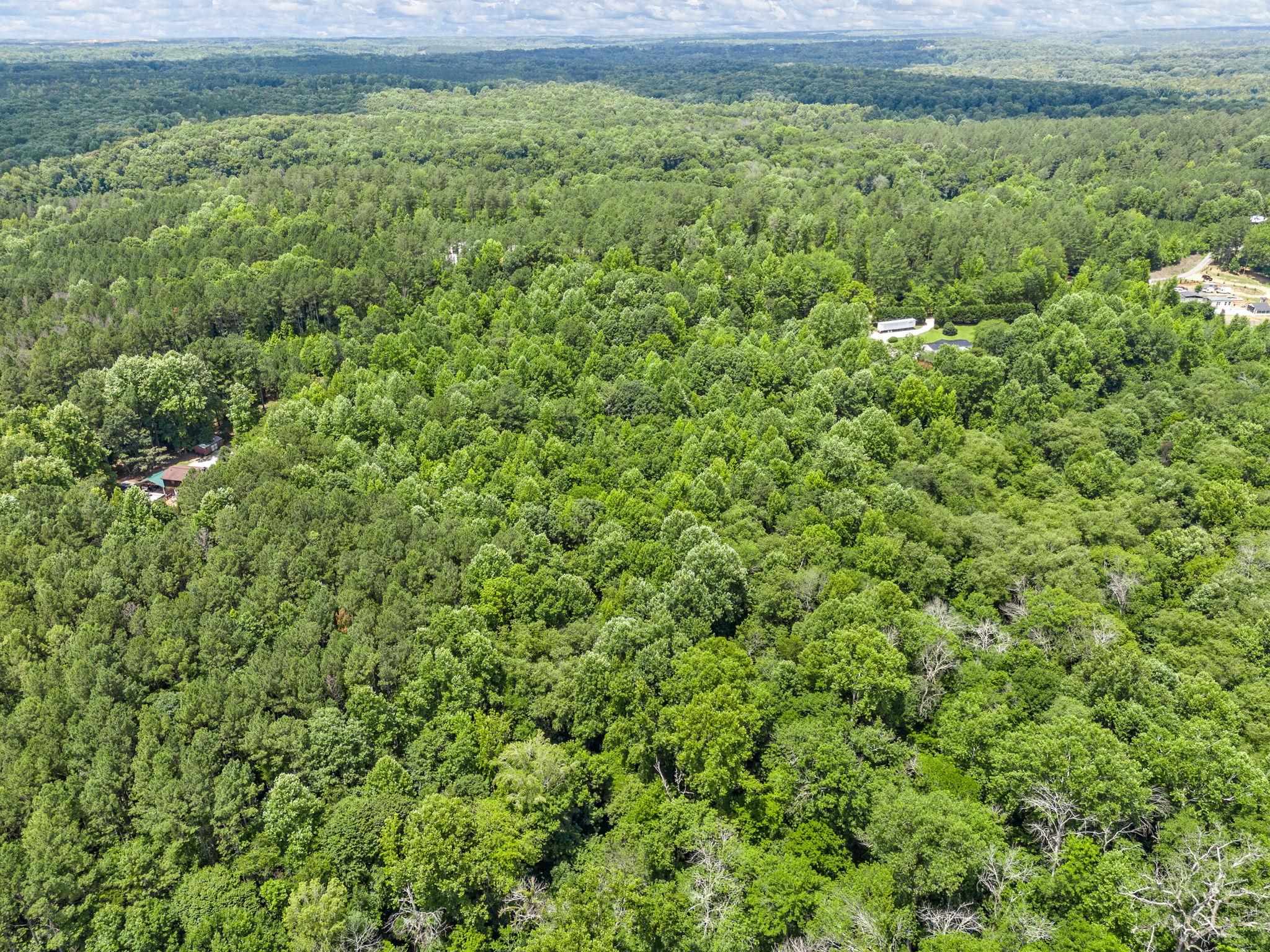 Bowater Pass, Fountain Inn, South Carolina image 17