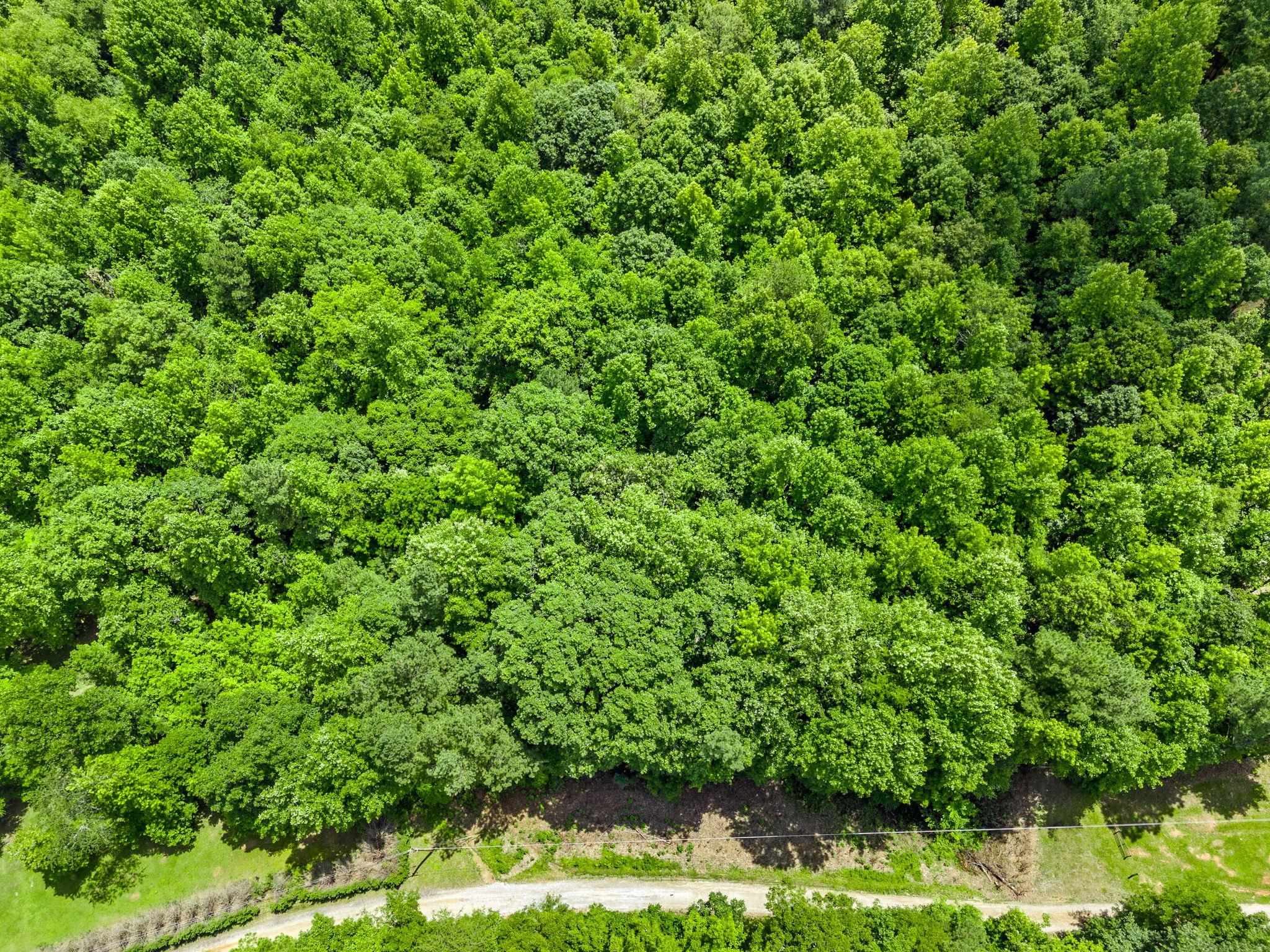 Bowater Pass, Fountain Inn, South Carolina image 7