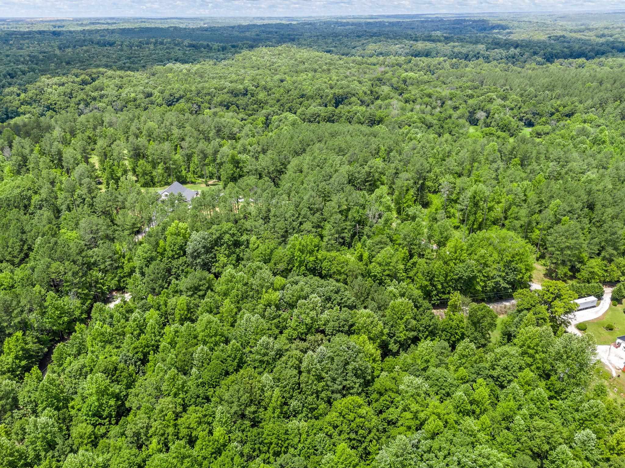 Bowater Pass, Fountain Inn, South Carolina image 14