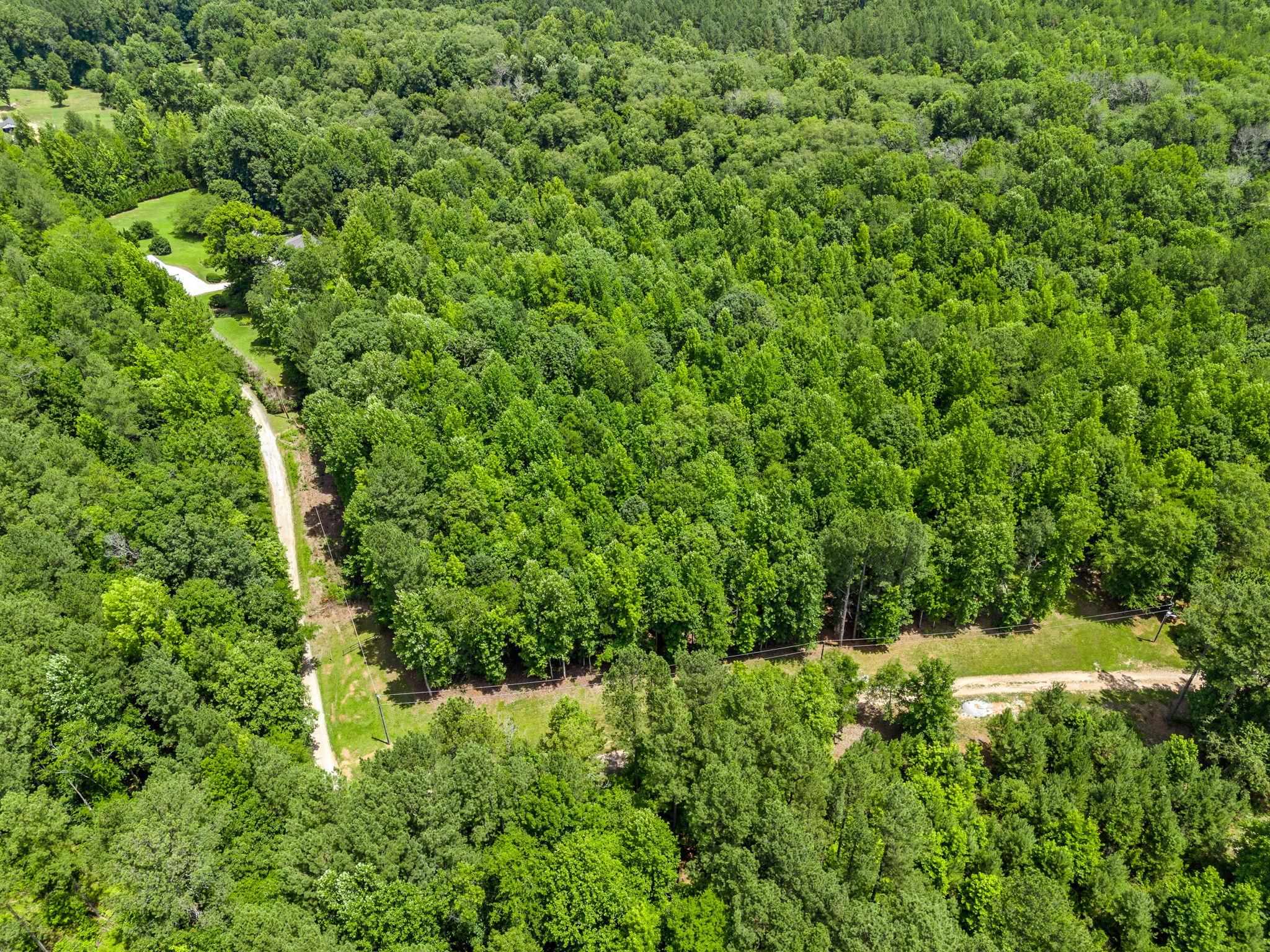 Bowater Pass, Fountain Inn, South Carolina image 13