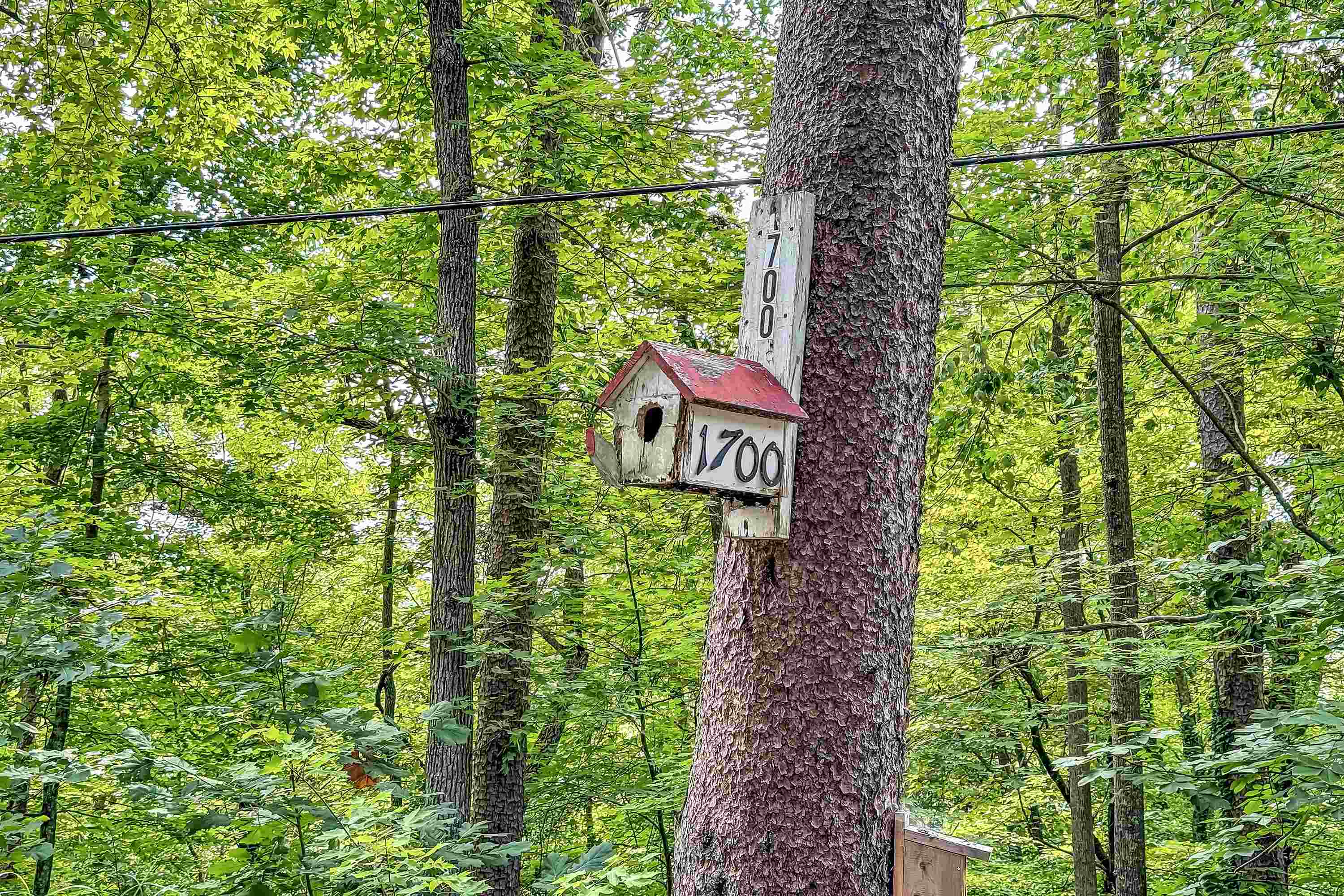 Landrum, South Carolina 29356, United States, ,Land,Active,48684