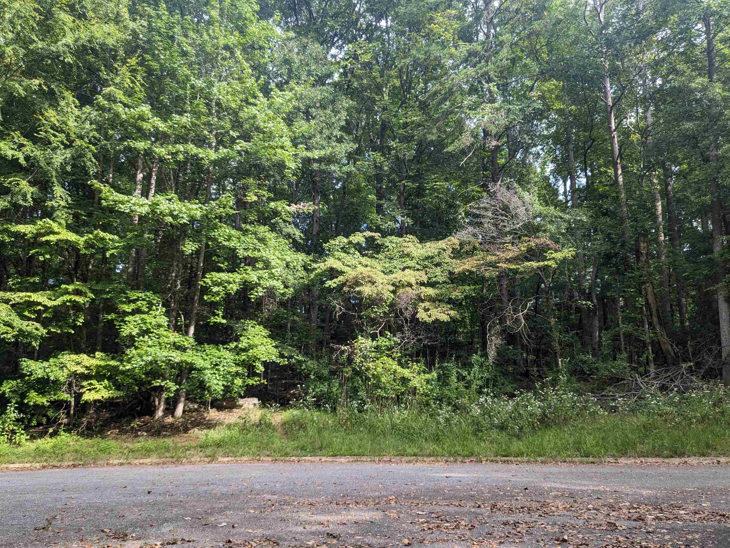 428 Mustang Drive, Spartanburg, South Carolina image 1