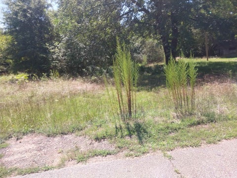 Vacant Land For Sale - 321 Irby Road<br/> Spartanburg, SC 29301