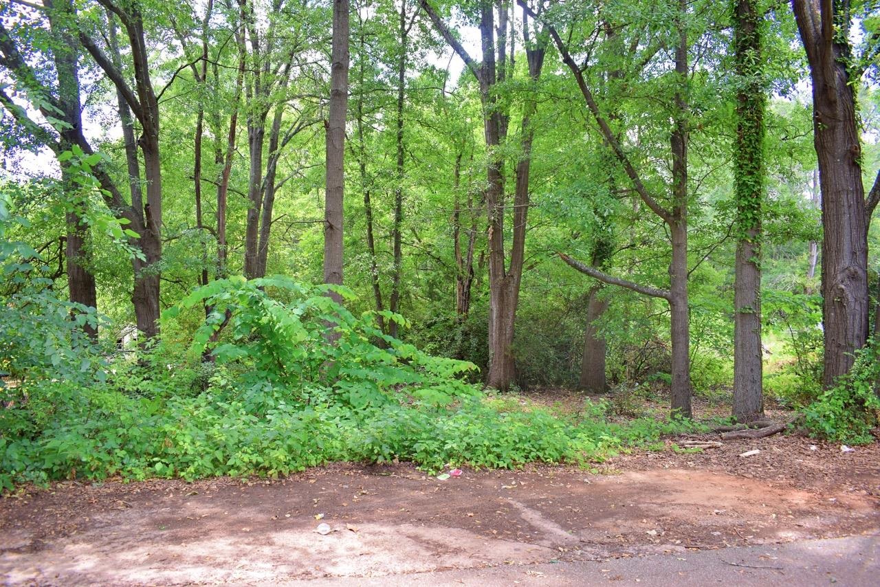 Holt Street, Spartanburg, South Carolina image 1