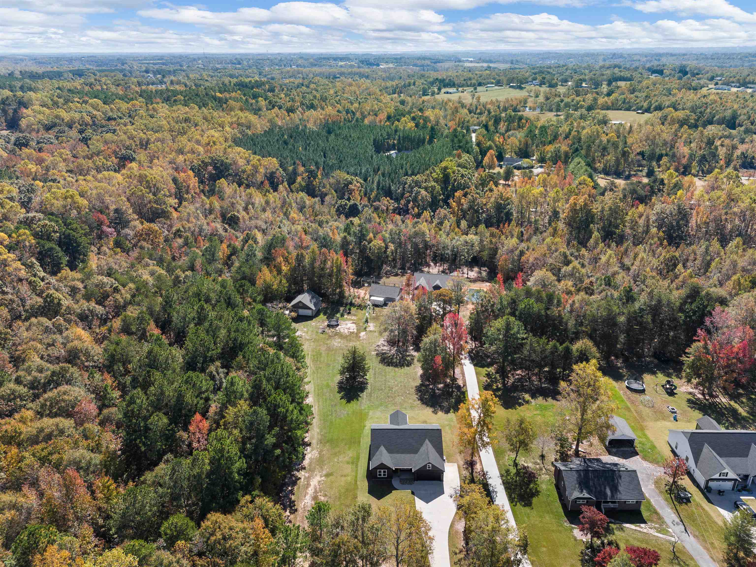713 Bradley Dill Road, Campobello, South Carolina image 38