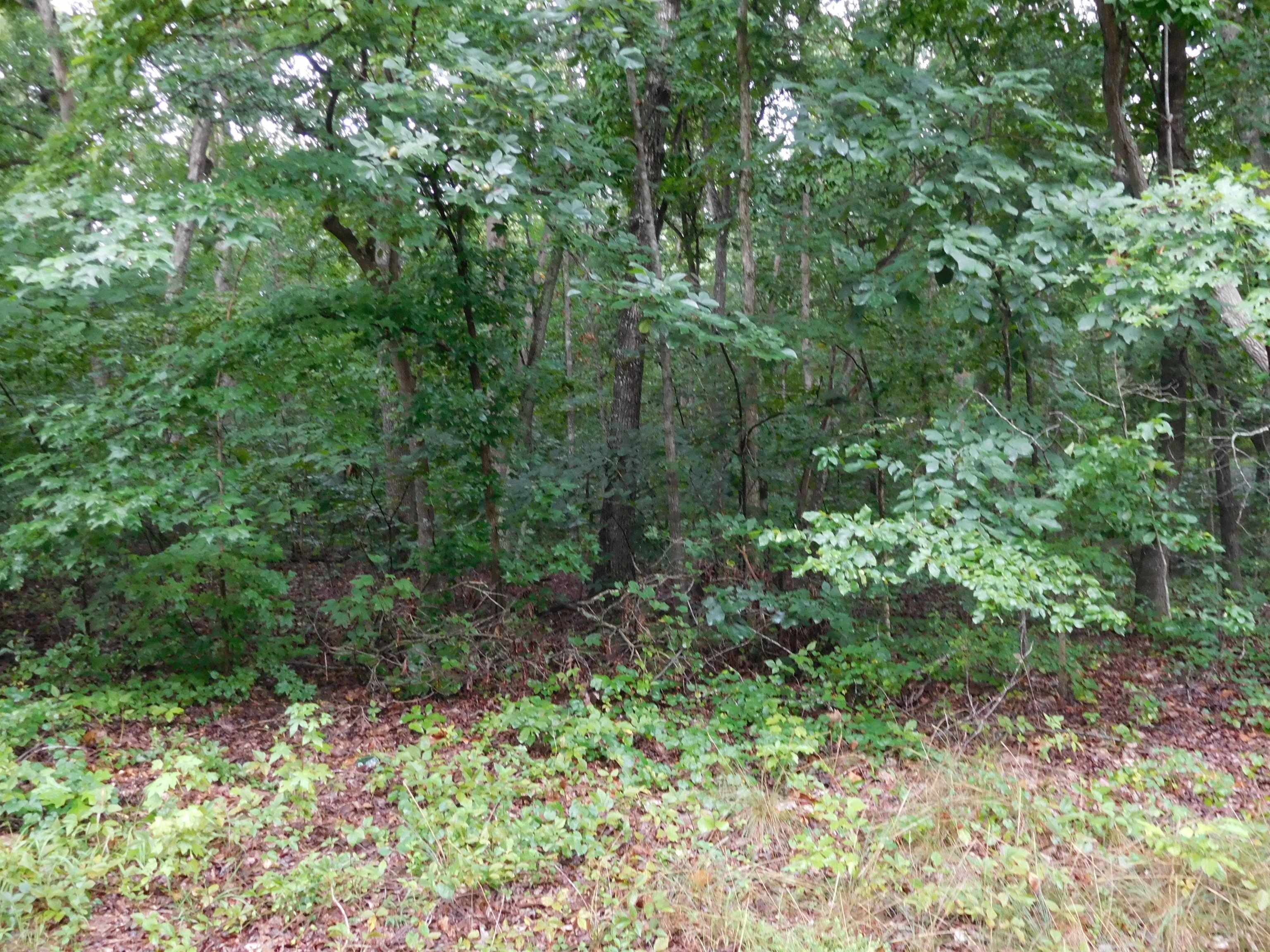 127 Whispering Pines Road Road, Gaffney, South Carolina image 4