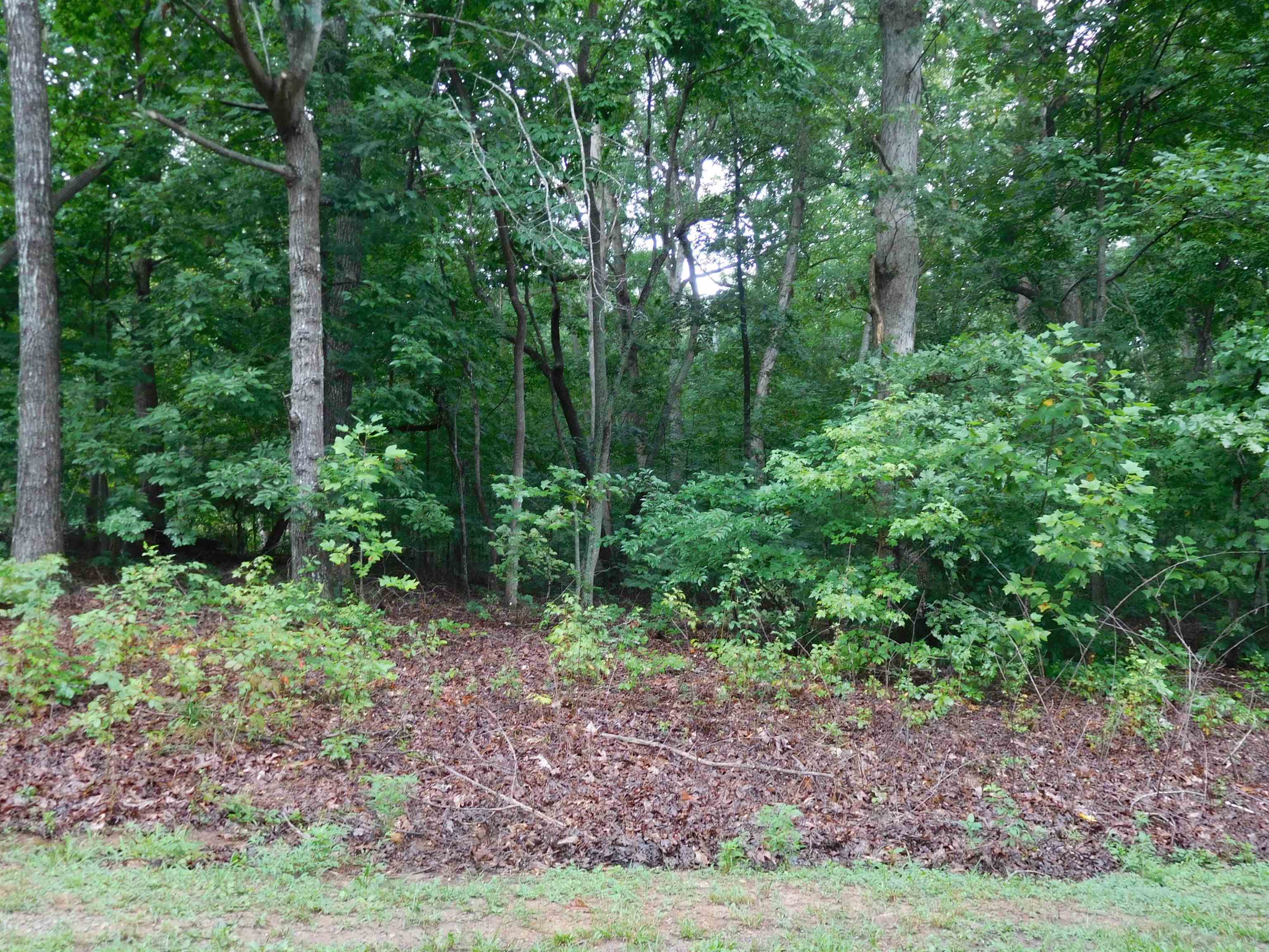 127 Whispering Pines Road Road, Gaffney, South Carolina image 1