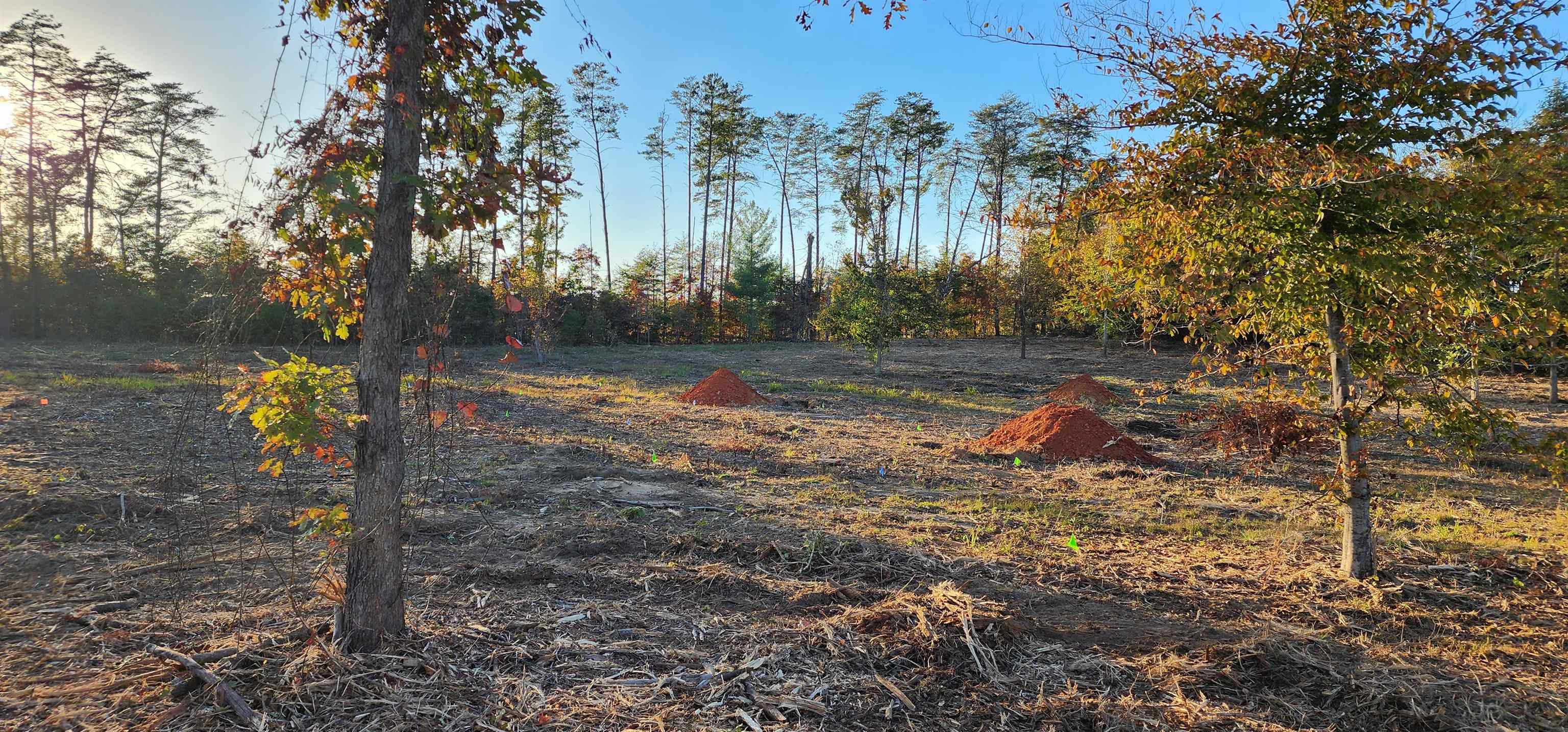 Lot 1 Poors Ford Road, Rutherfordton, North Carolina image 7