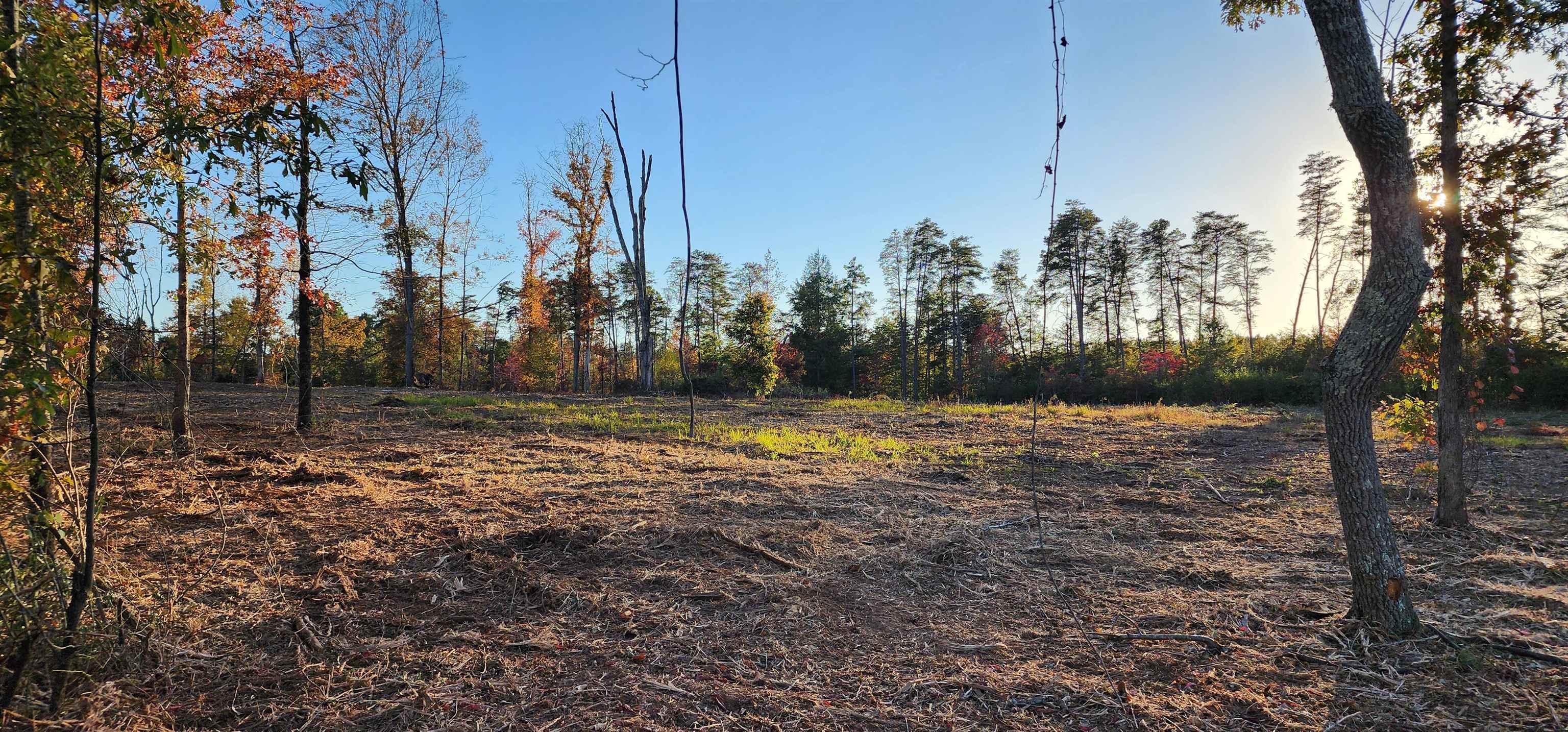 Lot 1 Poors Ford Road, Rutherfordton, North Carolina image 8