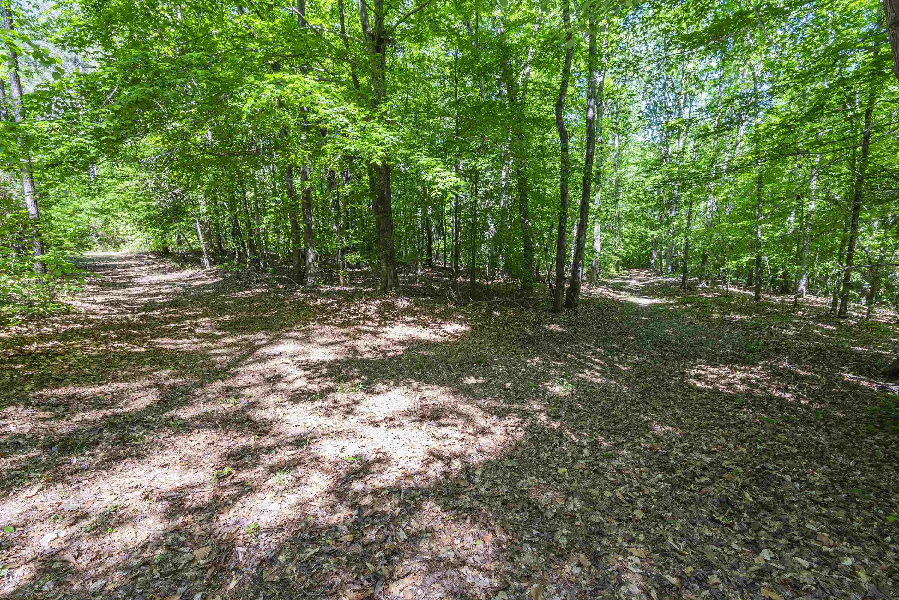 Leesville Church Road, Clinton, South Carolina image 11