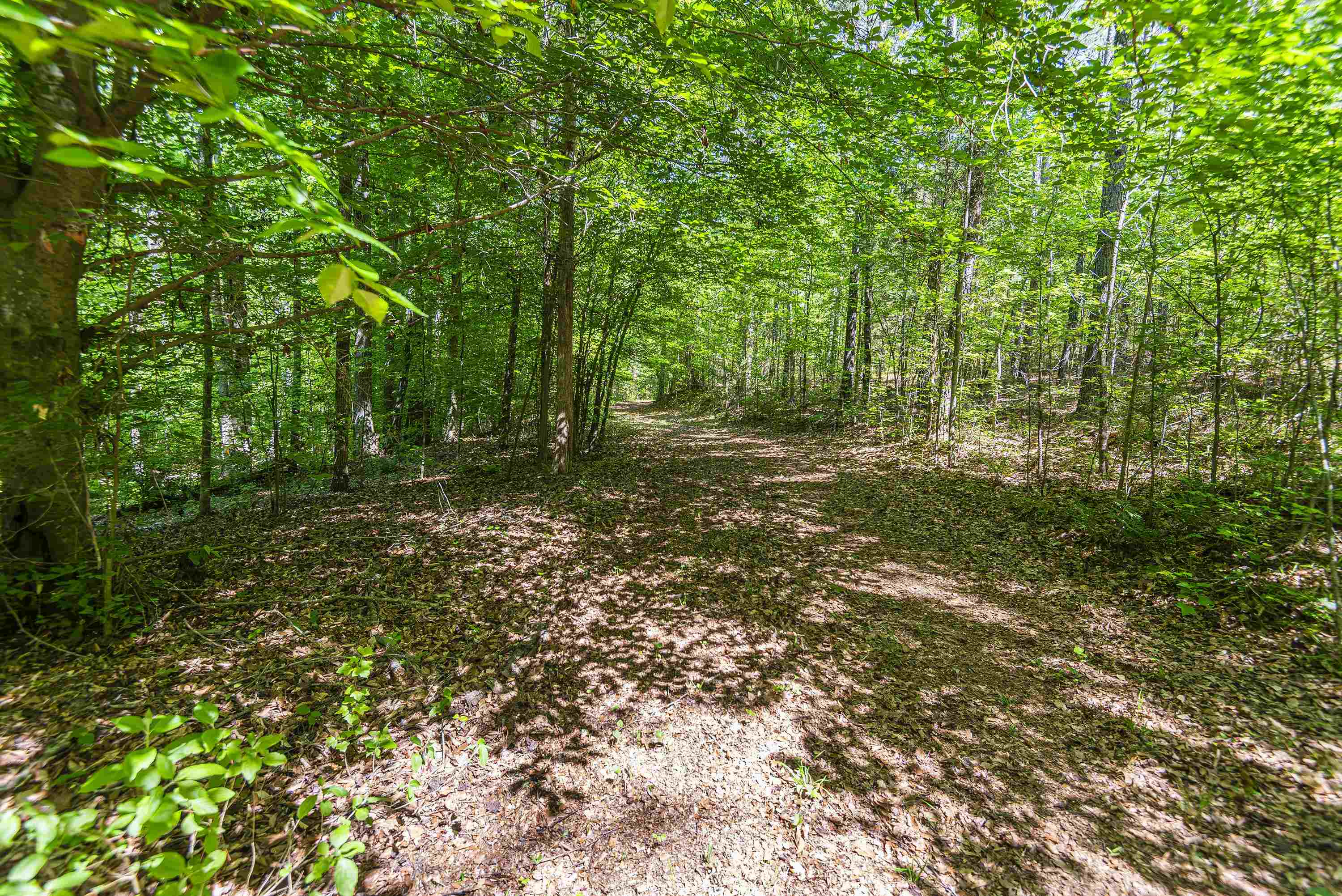 Leesville Church Road, Clinton, South Carolina image 17