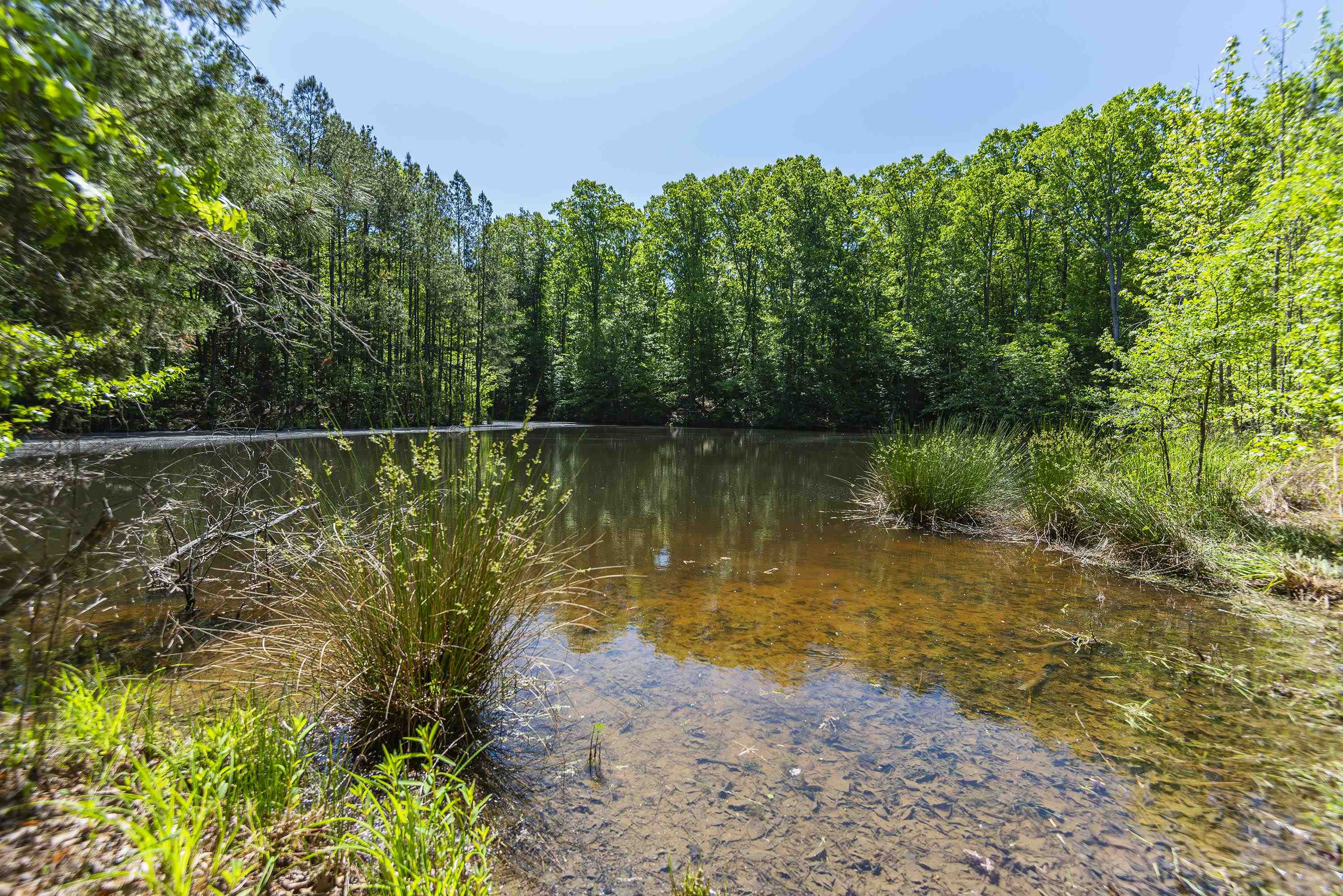 Leesville Church Road, Clinton, South Carolina image 12