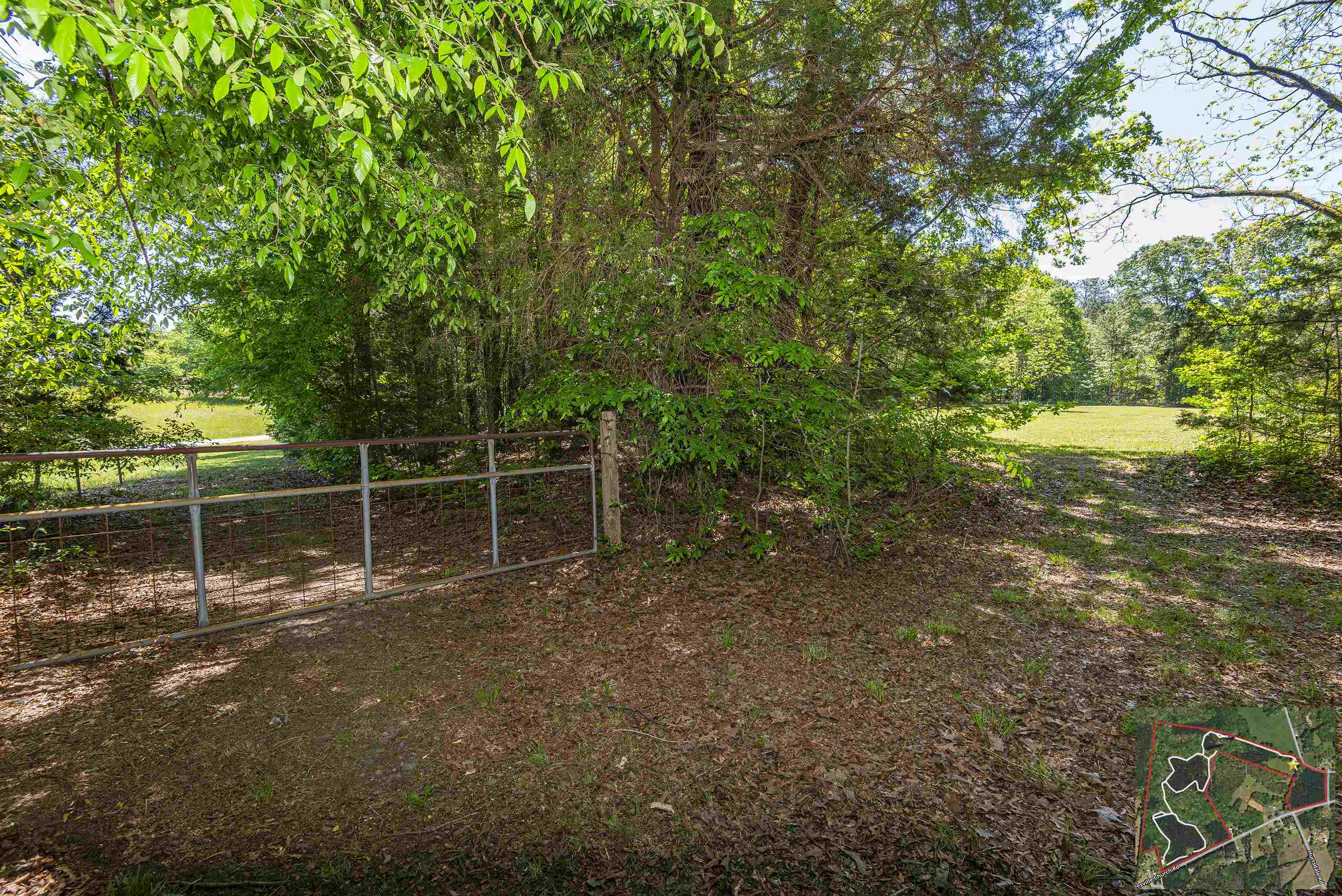 Leesville Church Road, Clinton, South Carolina image 6