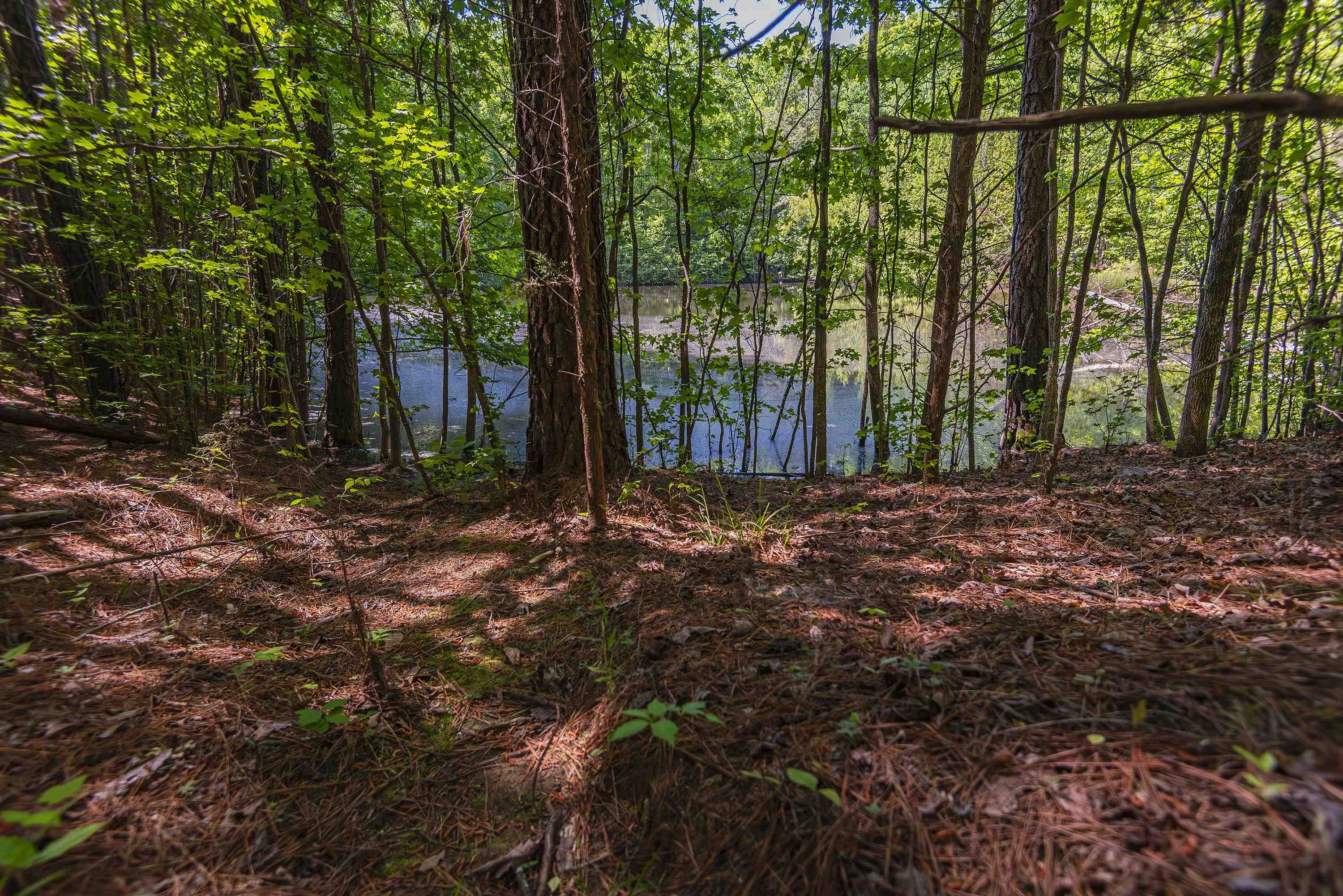 Leesville Church Road, Clinton, South Carolina image 1
