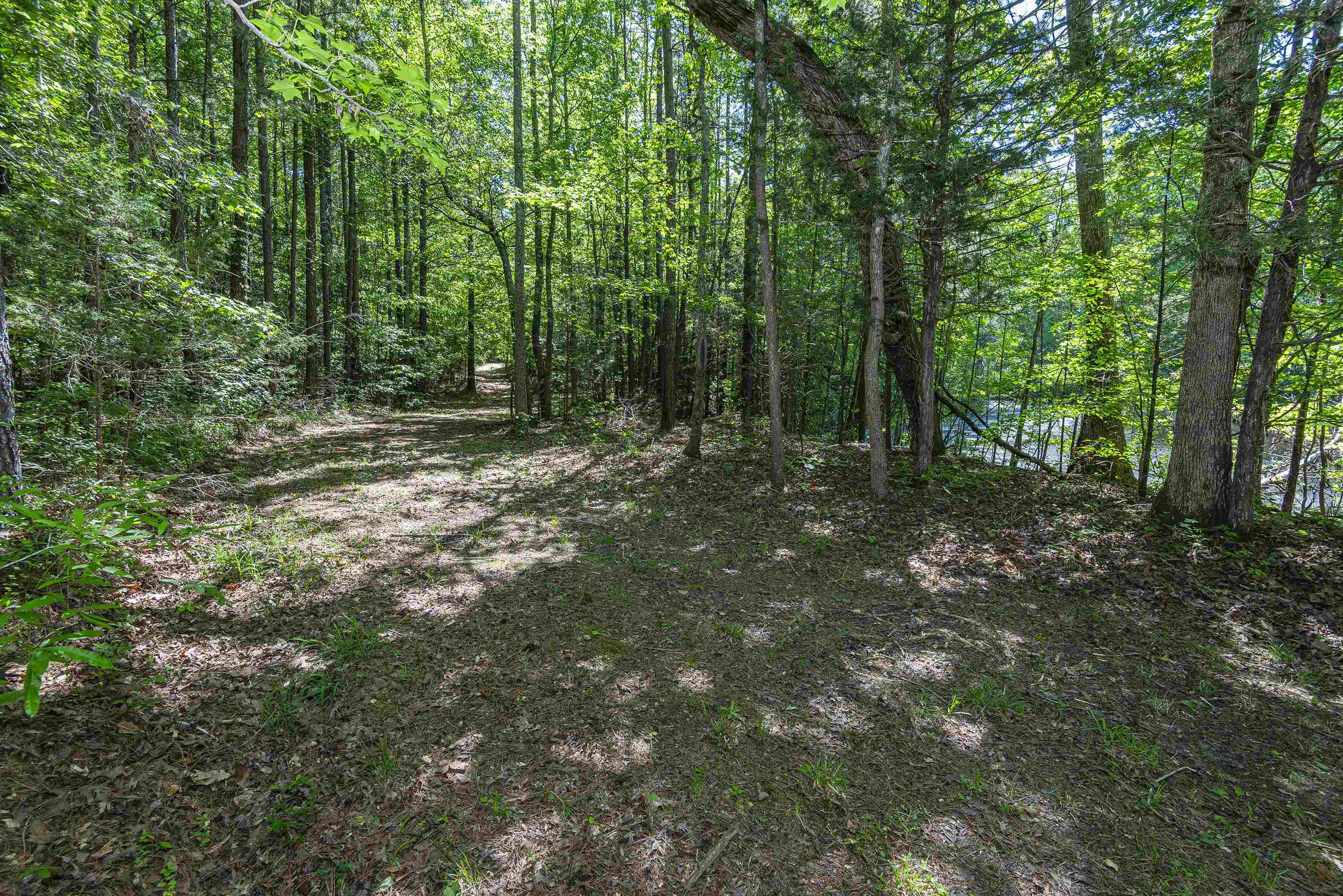 Leesville Church Road, Clinton, South Carolina image 14