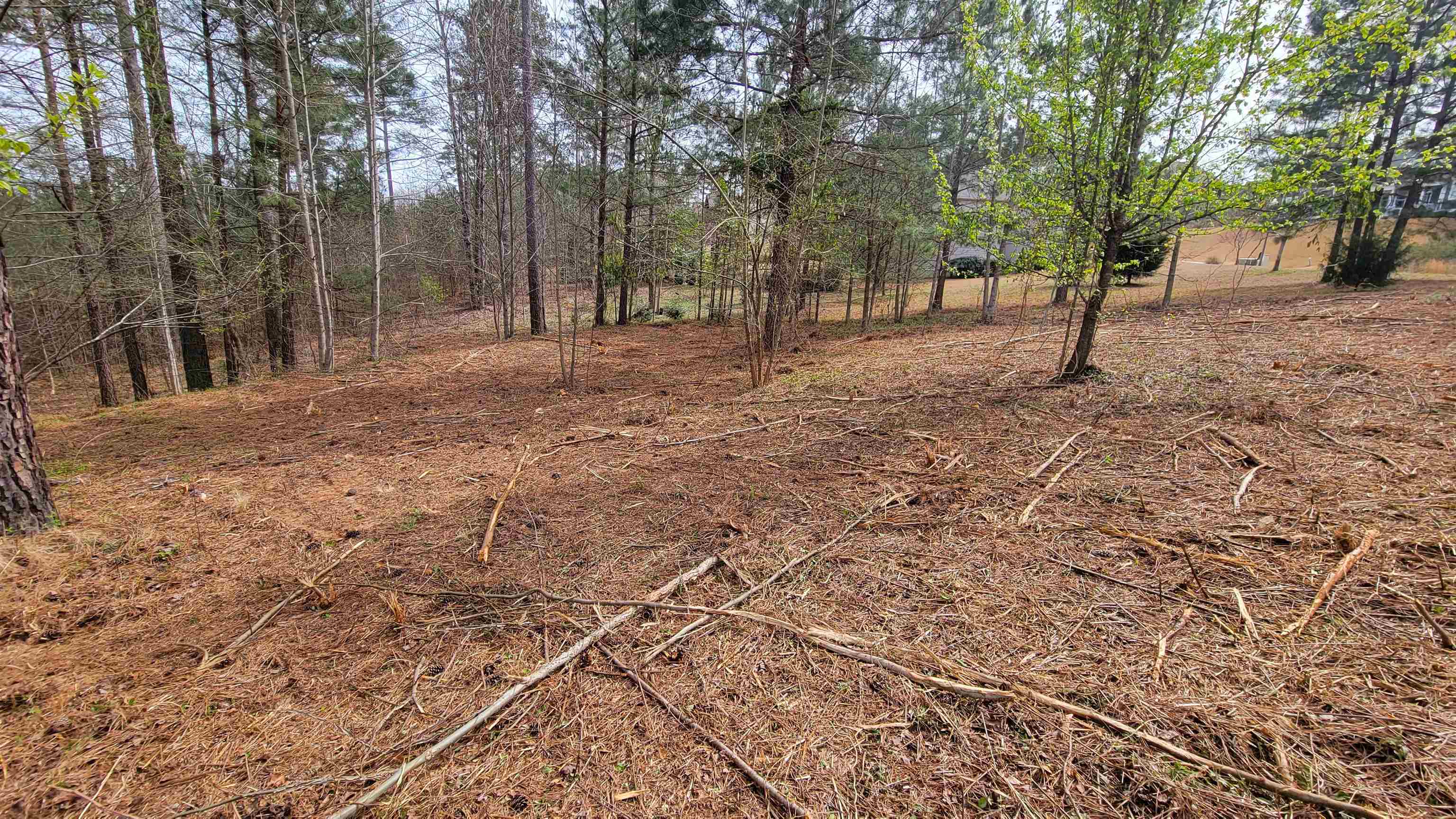 16 Tee Box Lane, Travelers Rest, South Carolina image 4