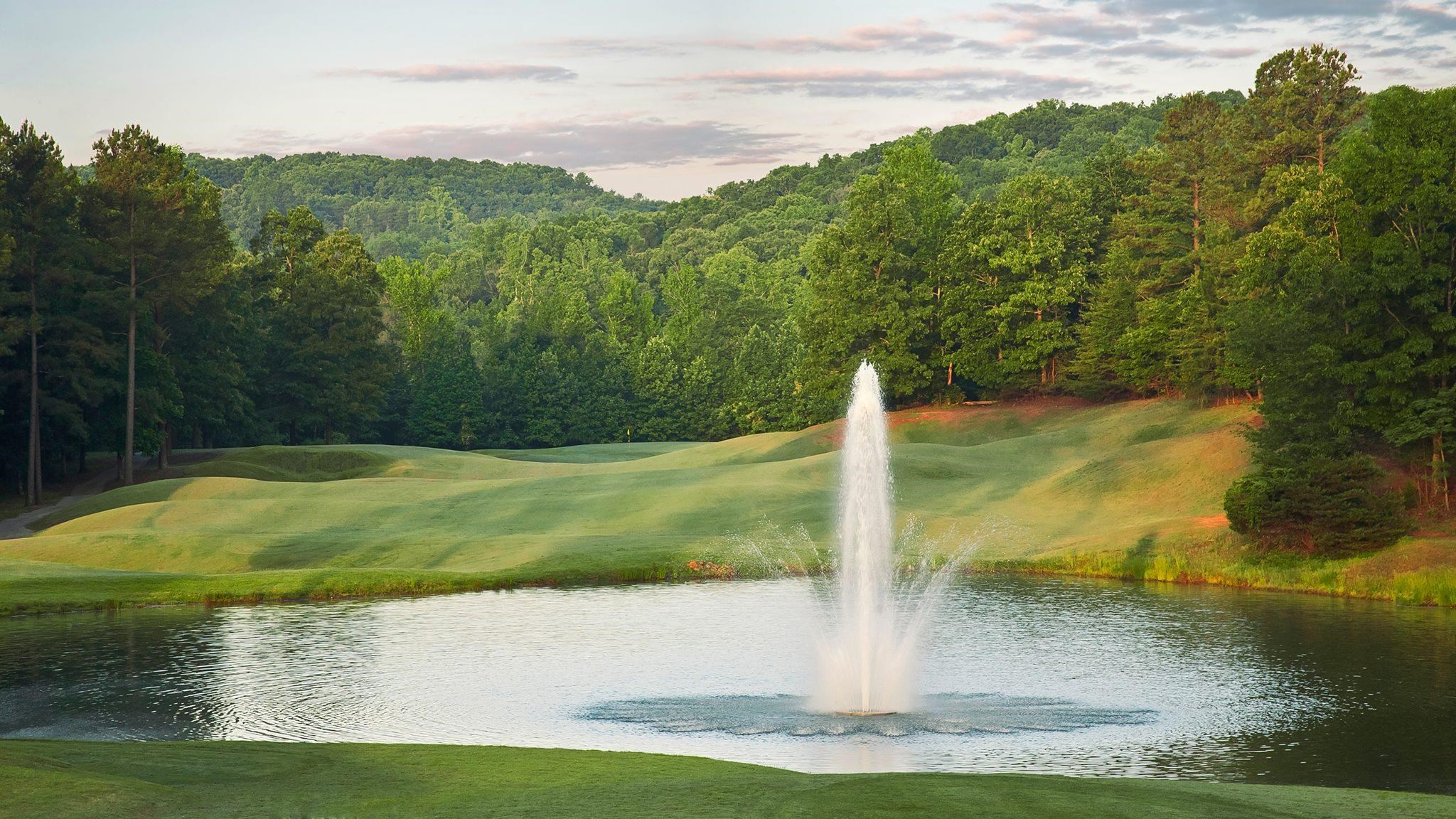 16 Tee Box Lane, Travelers Rest, South Carolina image 14