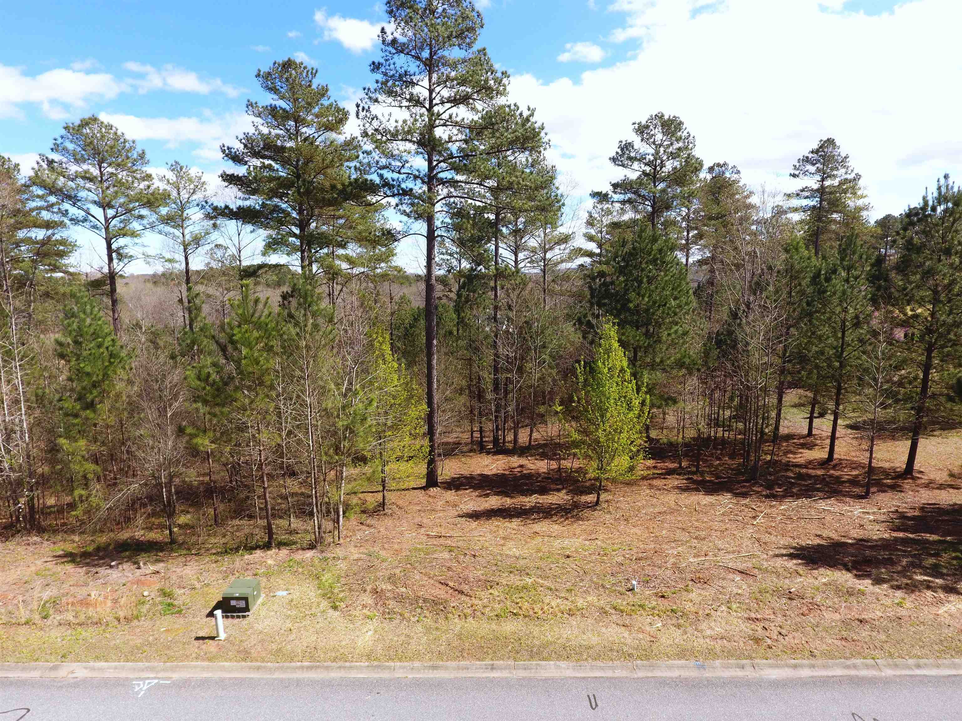16 Tee Box Lane, Travelers Rest, South Carolina image 10