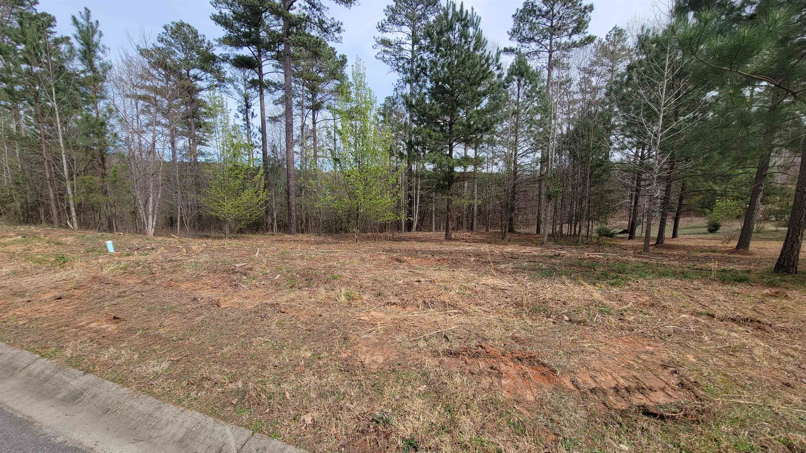 16 Tee Box Lane, Travelers Rest, South Carolina image 1