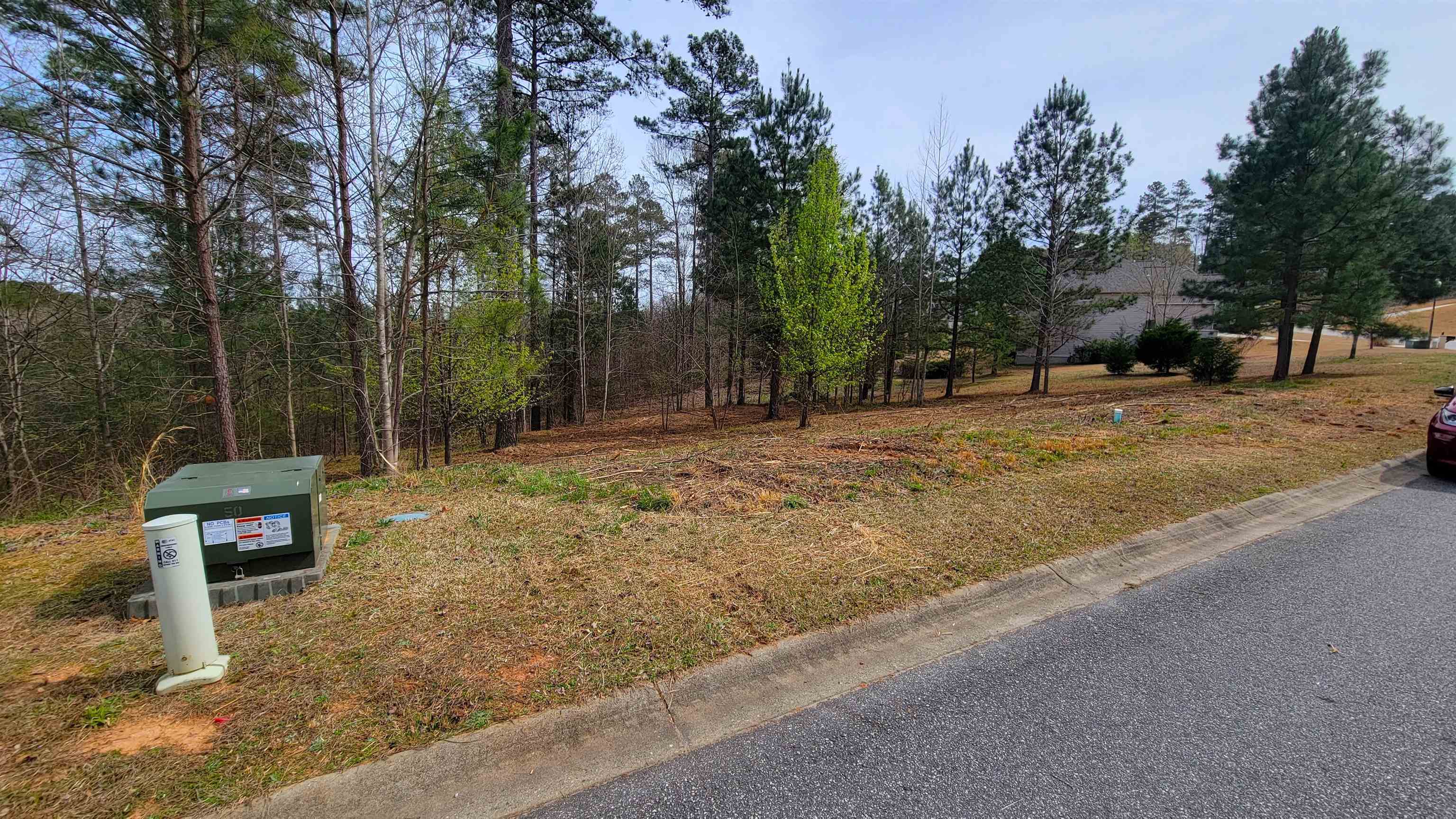 16 Tee Box Lane, Travelers Rest, South Carolina image 2