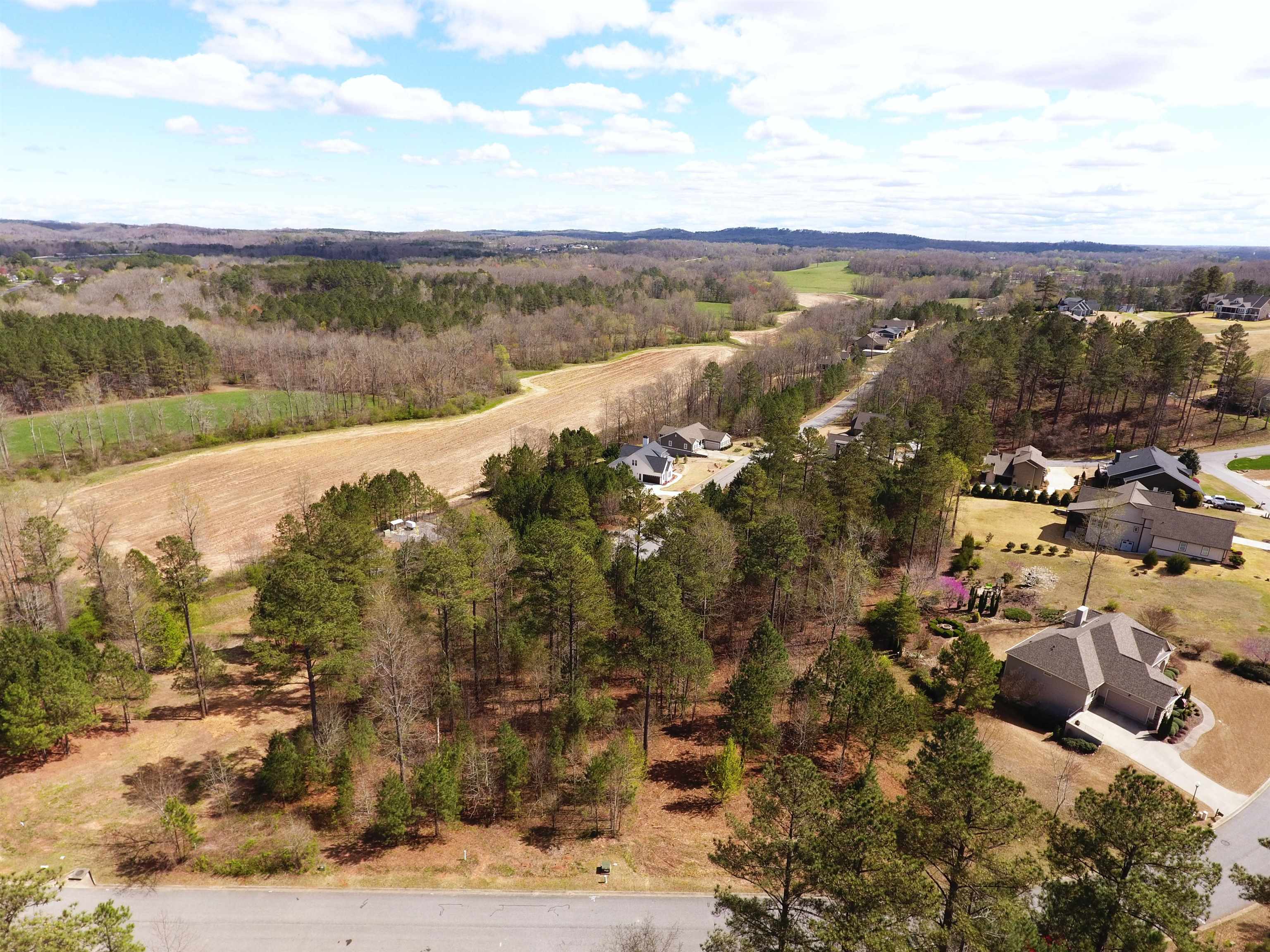 16 Tee Box Lane, Travelers Rest, South Carolina image 9